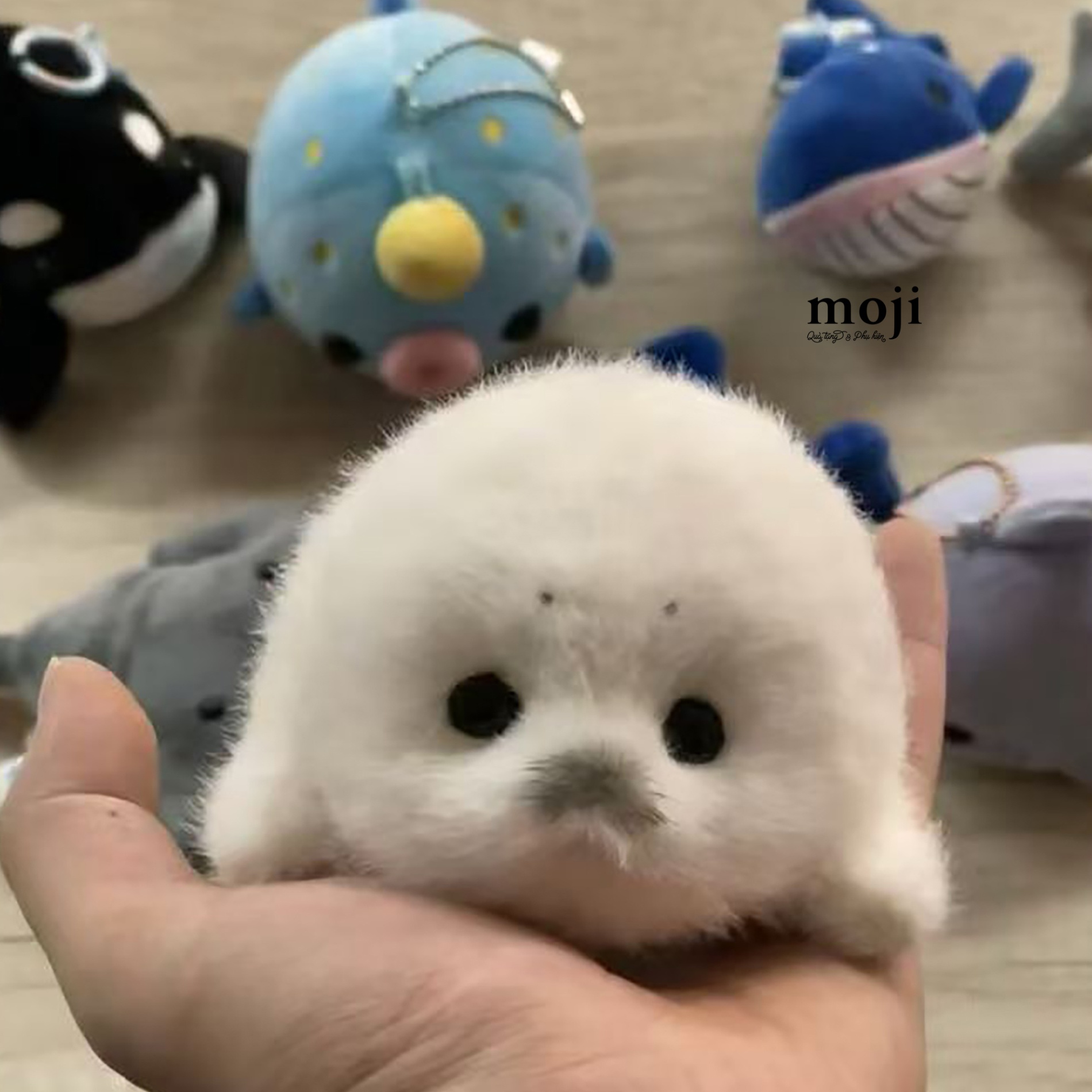 ThumbnailUri