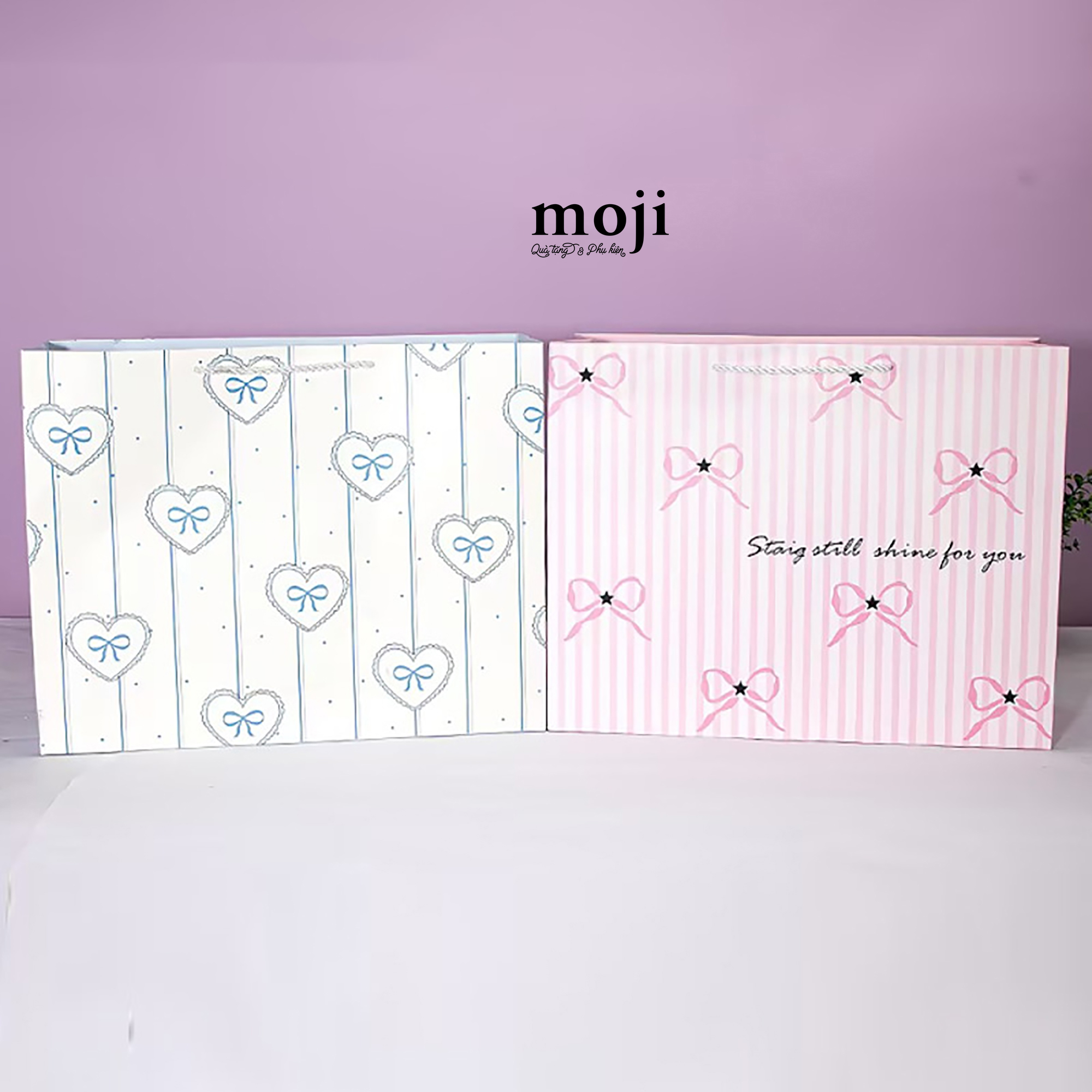 B.040 Túi quà BWN LOV 421533-26050215