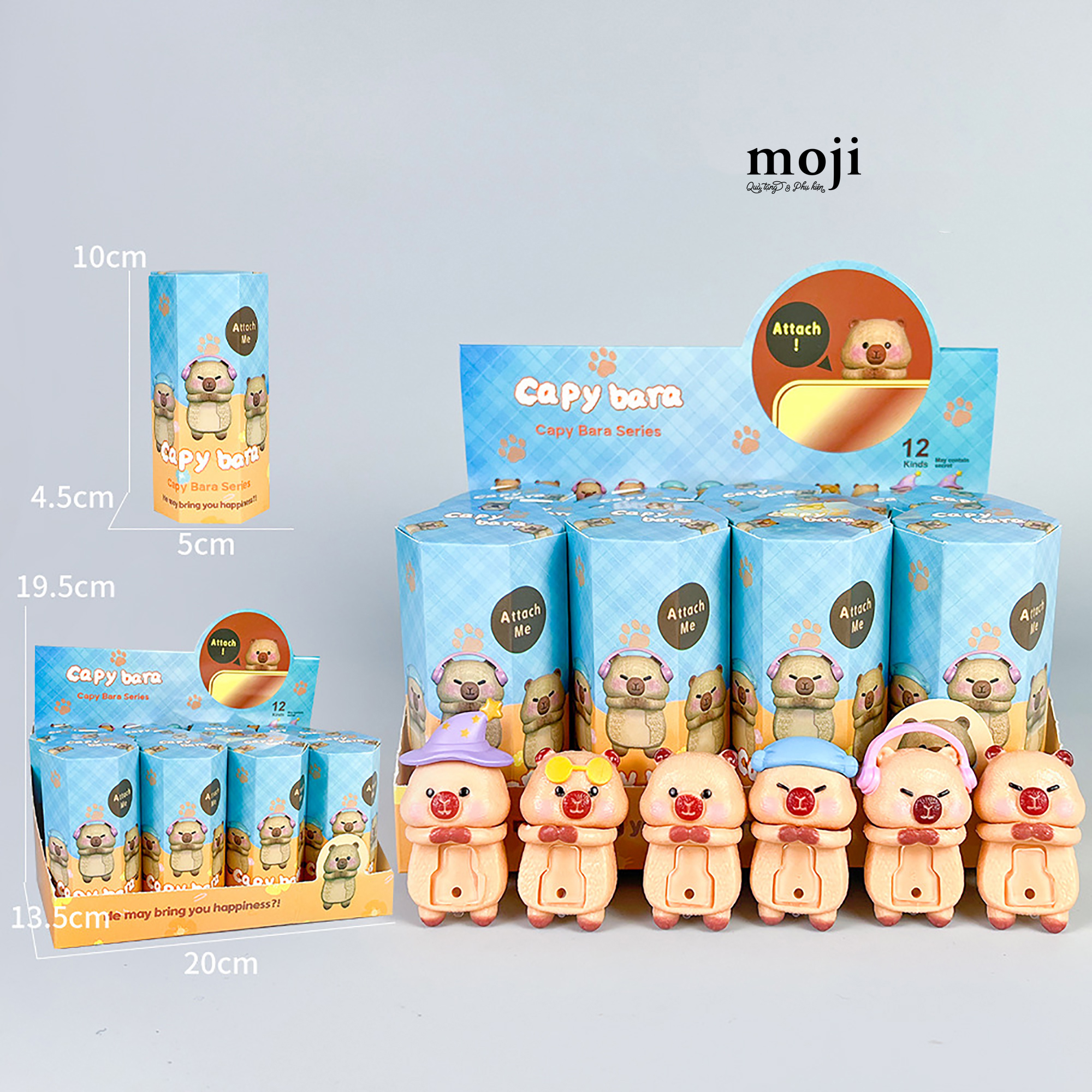 Blindbox Hippers unoff Capybara series activities