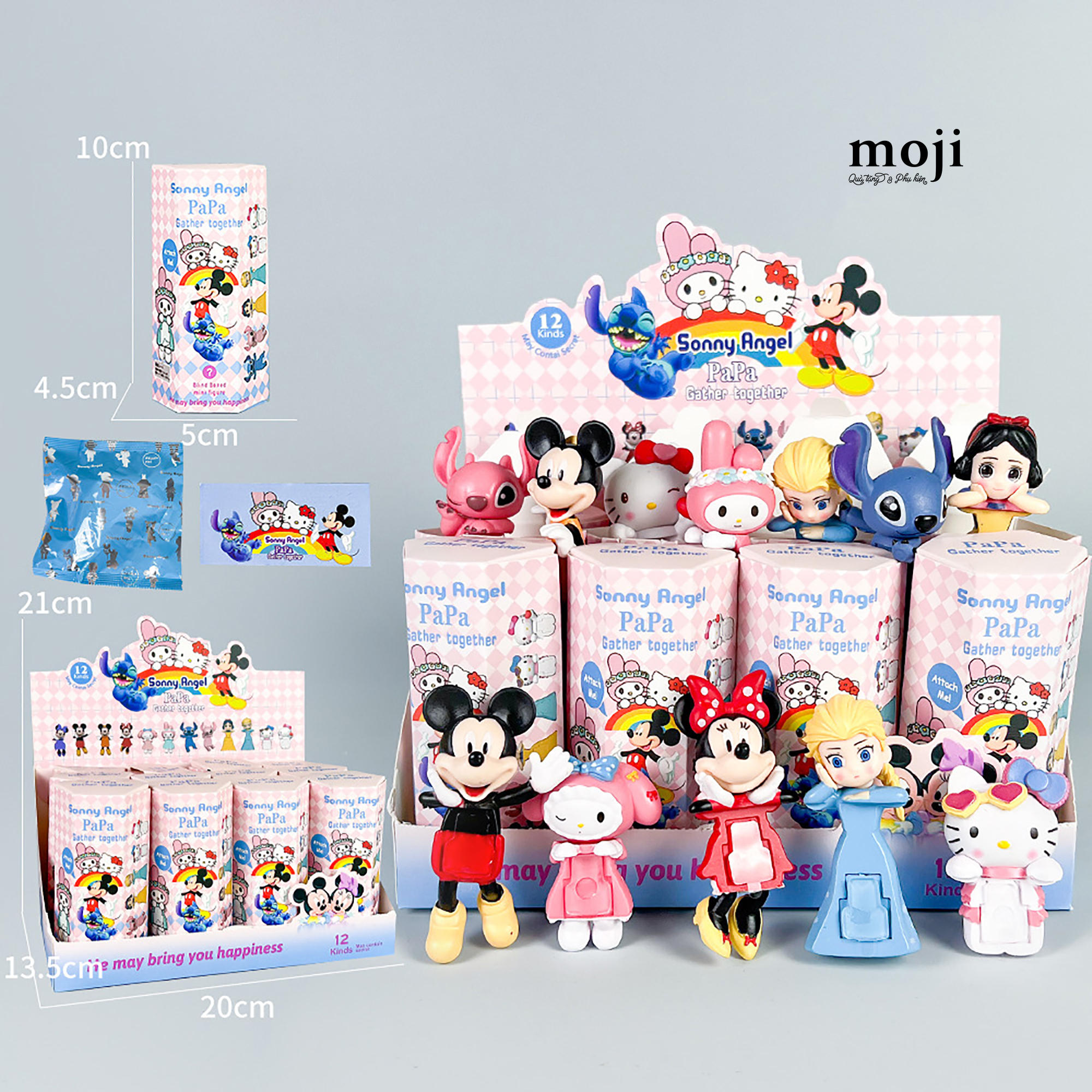 Blindbox Hippers unoff Disney Sanrio family Princess gather together