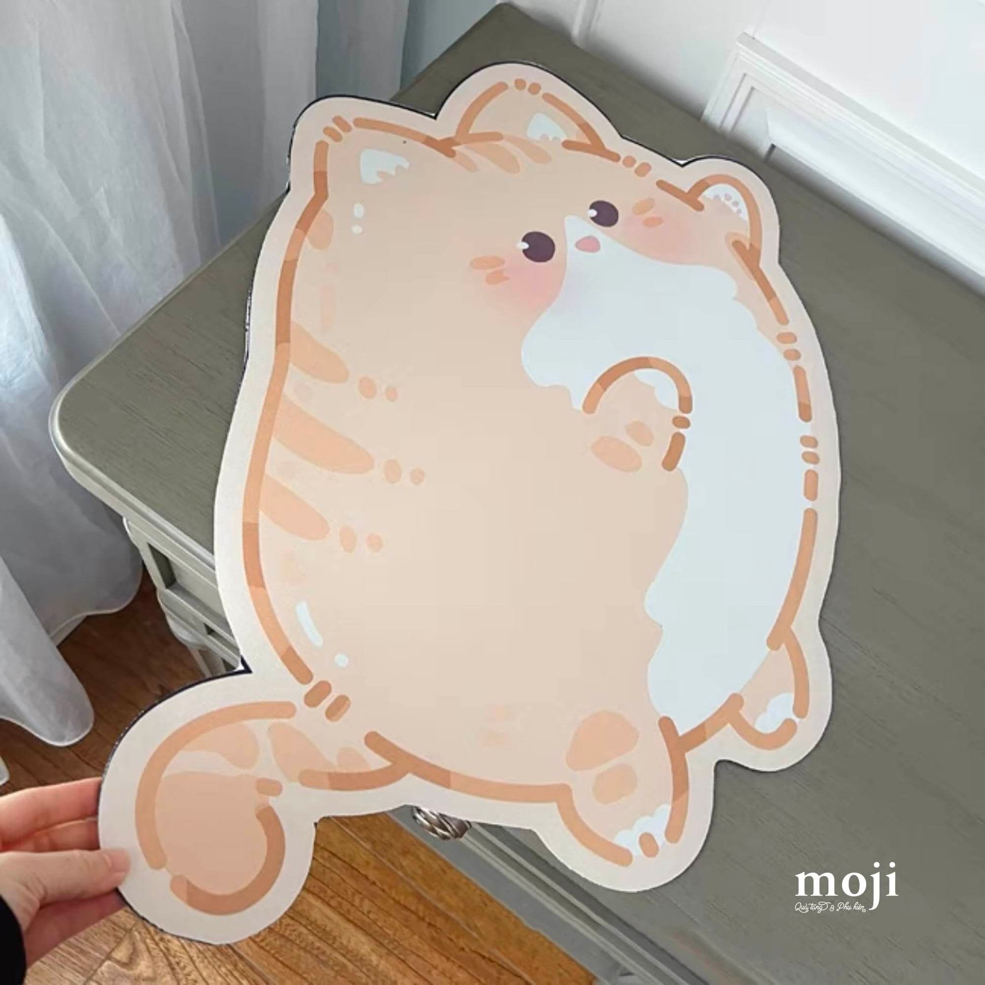 20230316_cm1S7fu0.jpeg