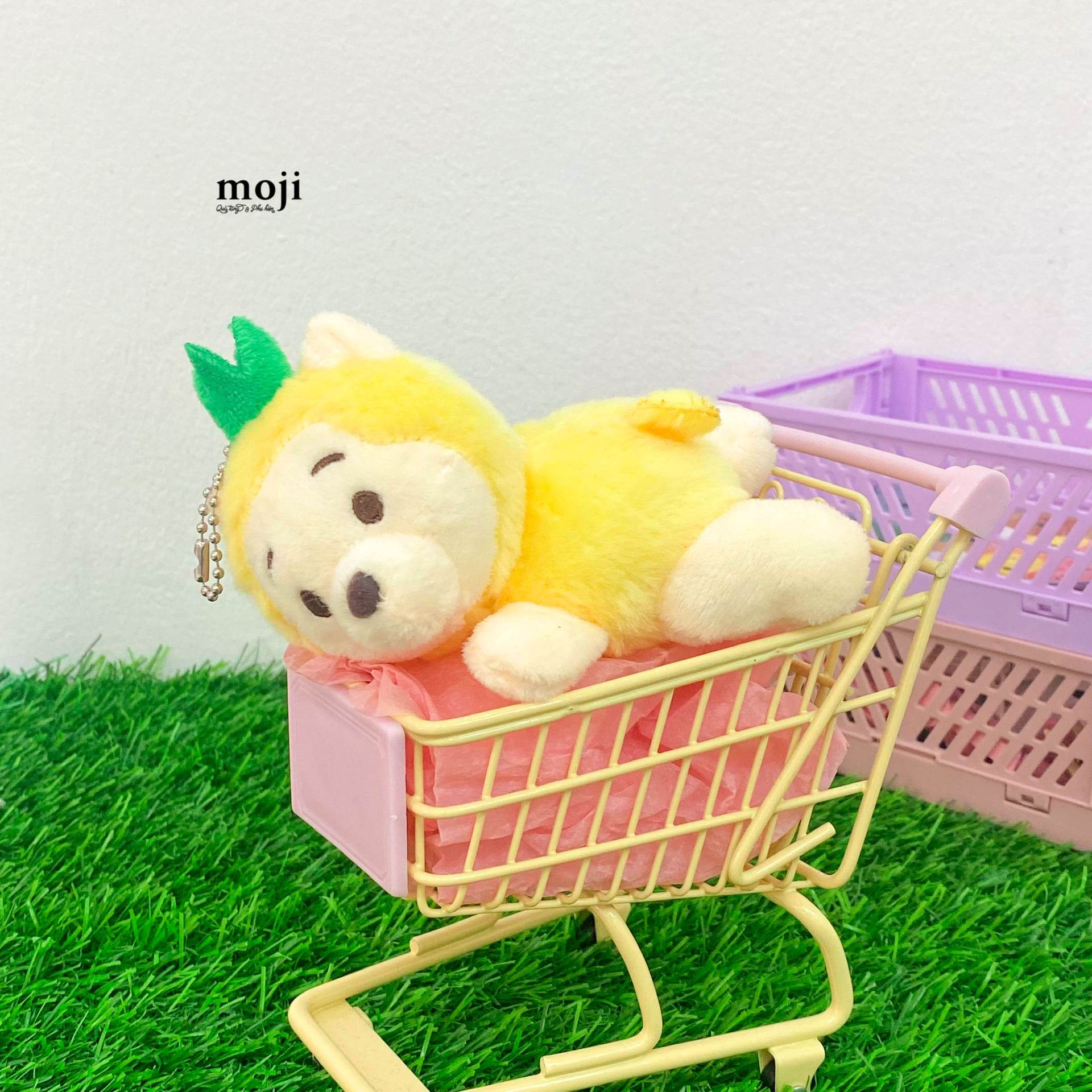 20230414_4MTKKbun.jpeg