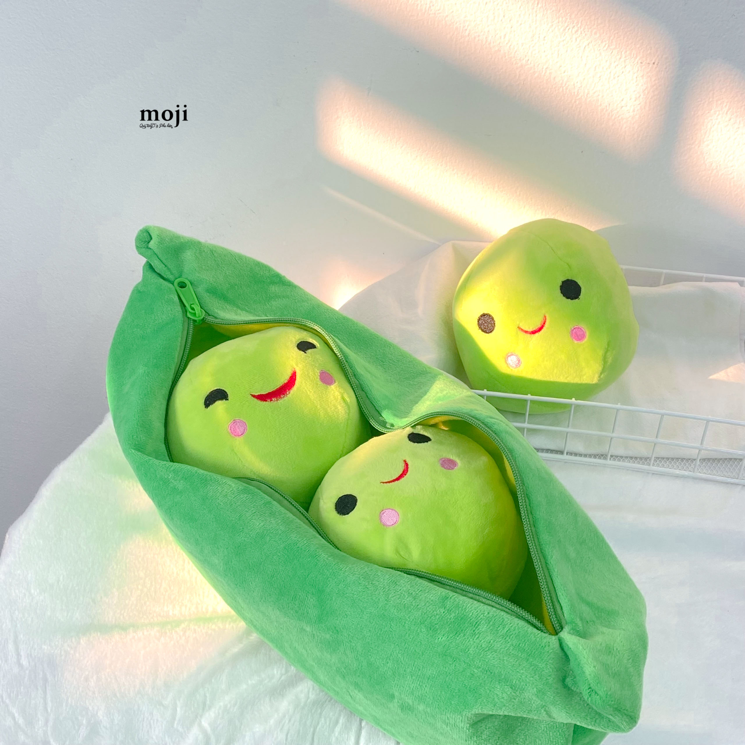 20230418_pVzsldZc.jpg