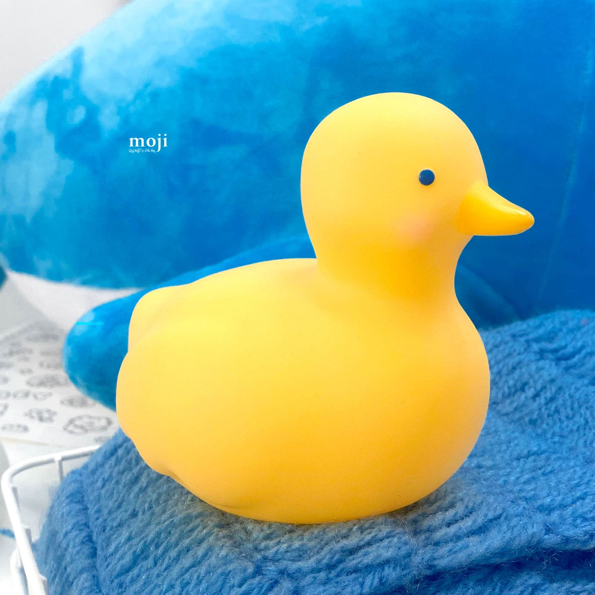 20230429_fntGsog2.jpeg