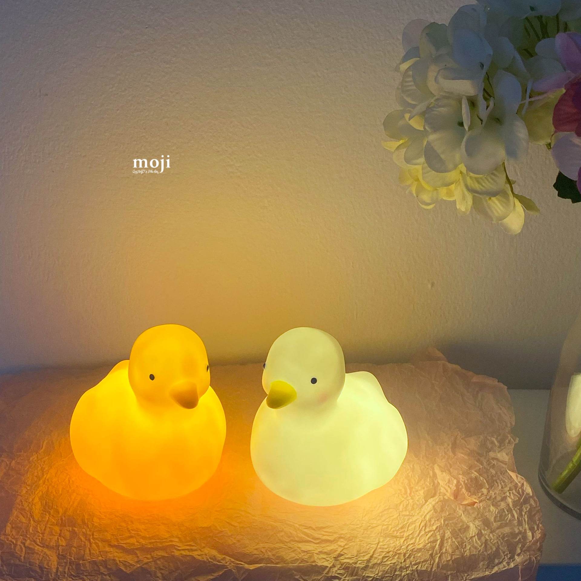 20230429_u3JDCxuR.jpeg