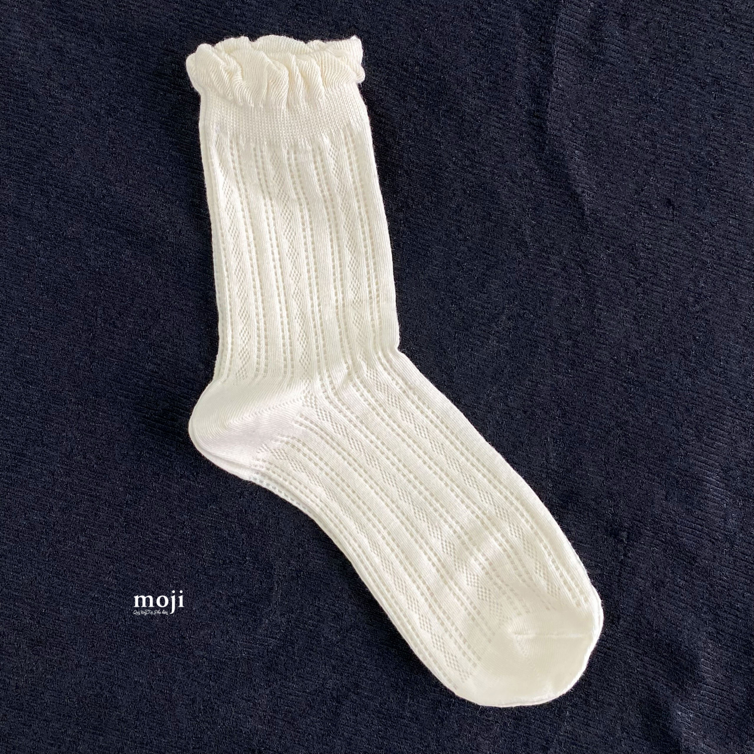 20230513_GVjcyH3d.jpg