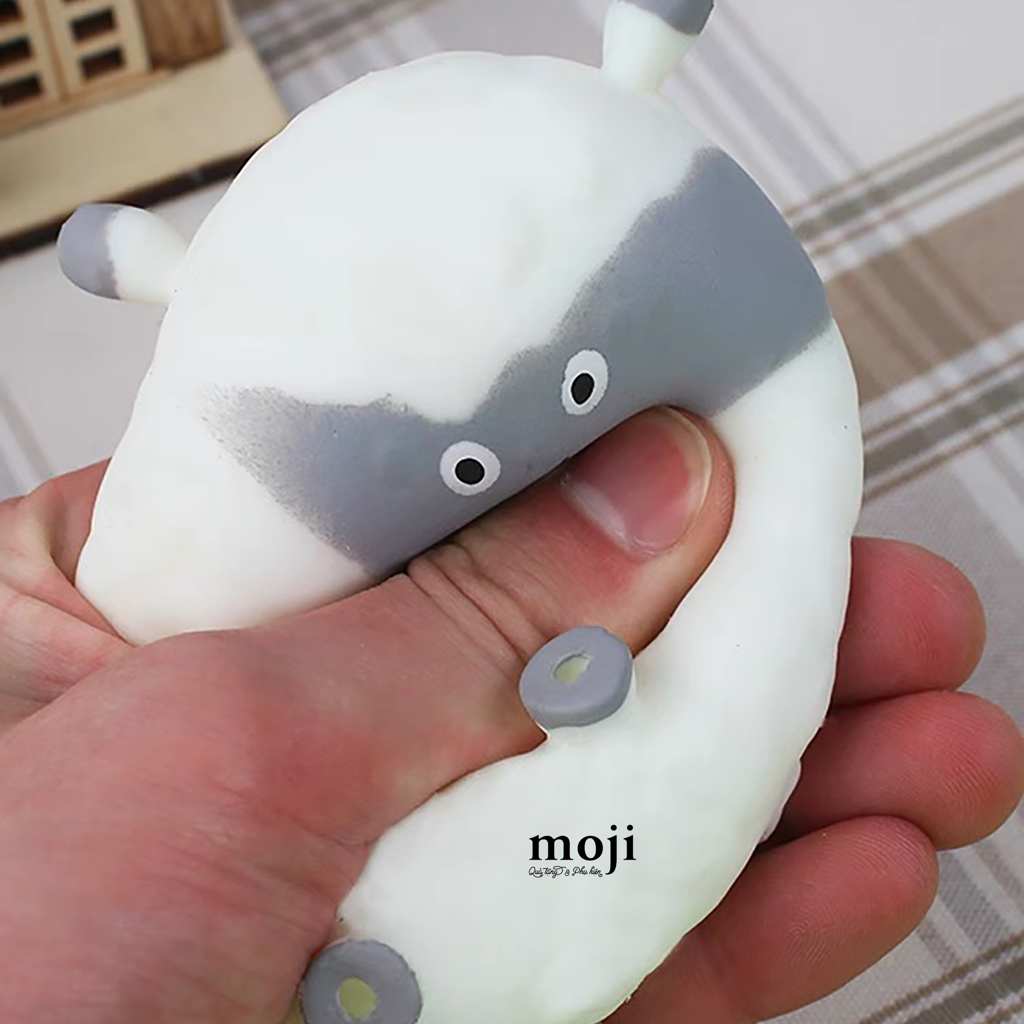 20230725_VQWhIqHf.JPG