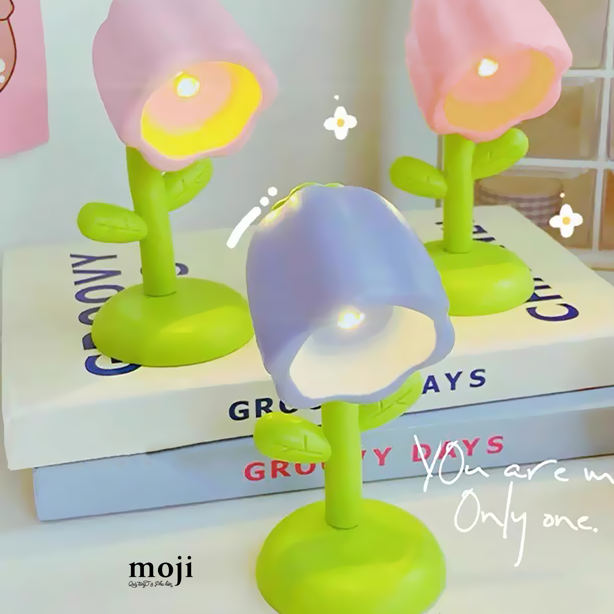 20230904_sKIB4pmX.JPG