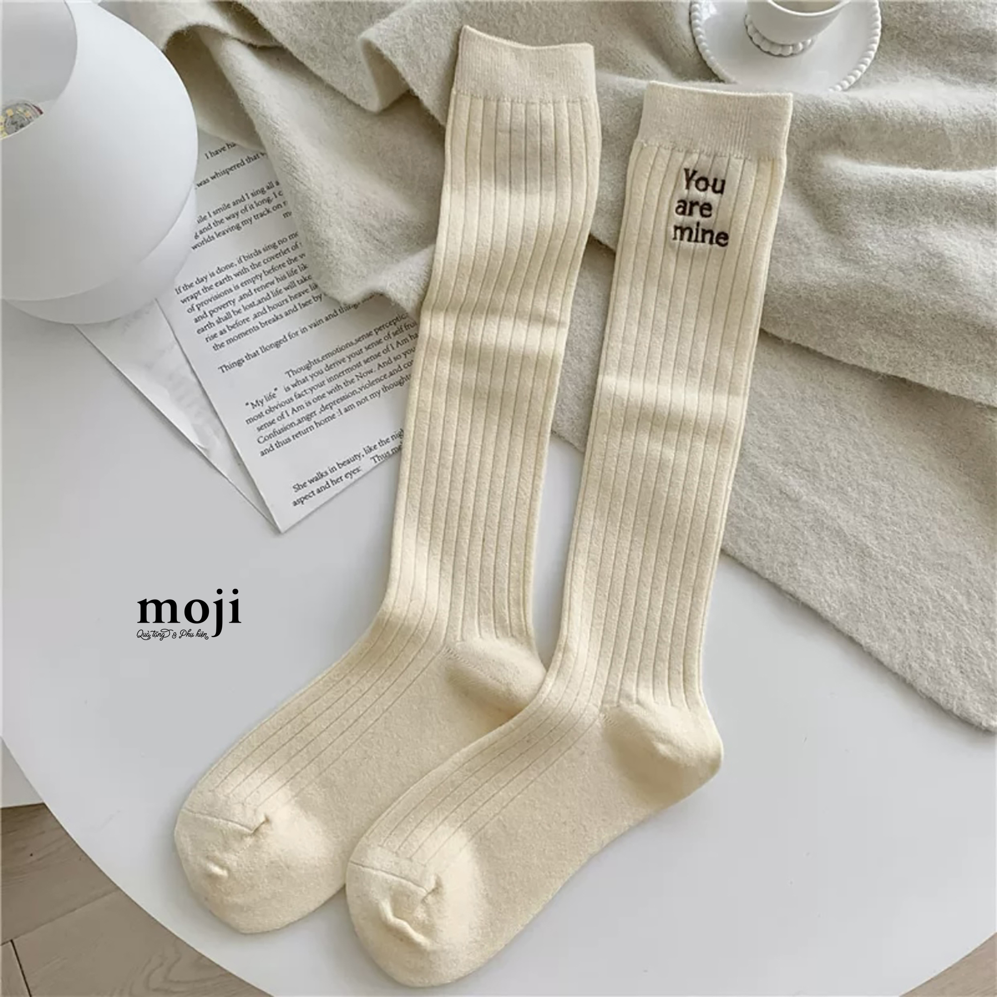 20231017_yxFmnL10.jpg
