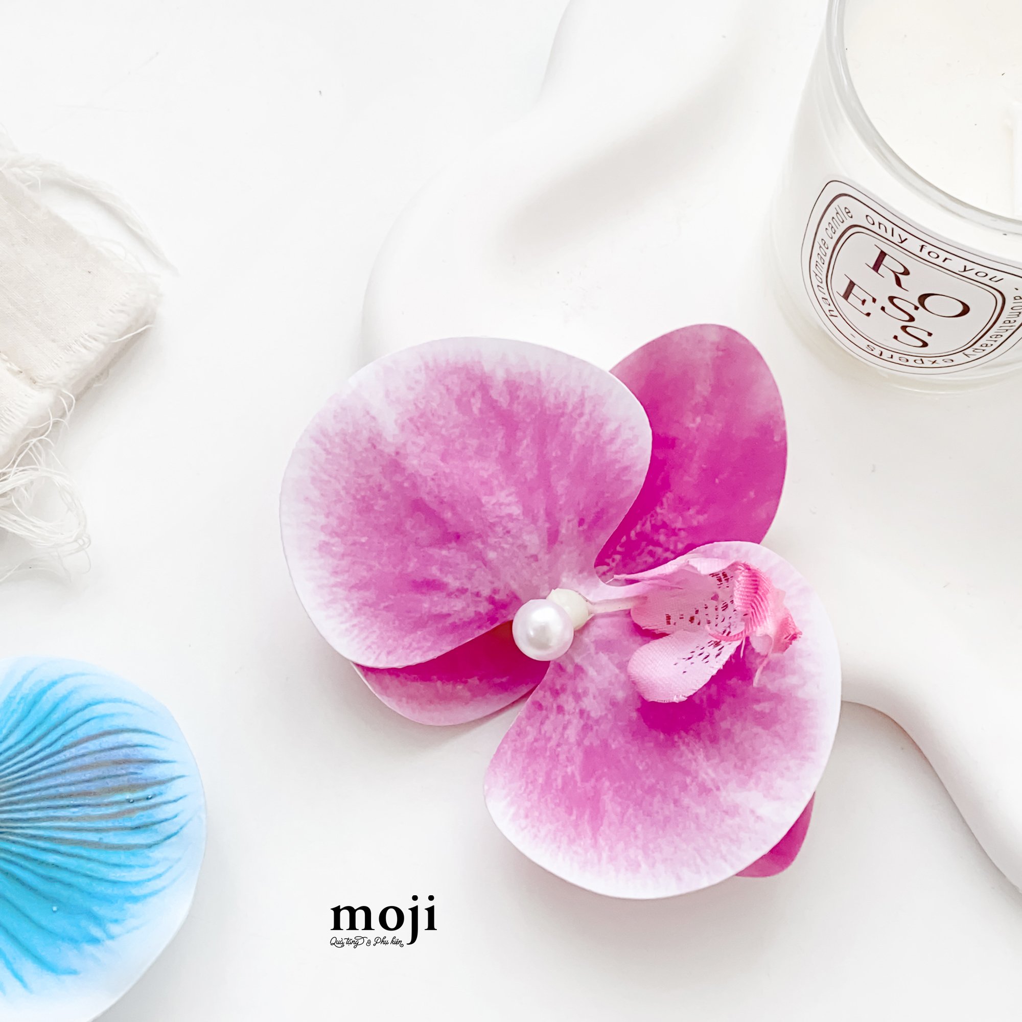20240327_ry4CjfGm.jpg