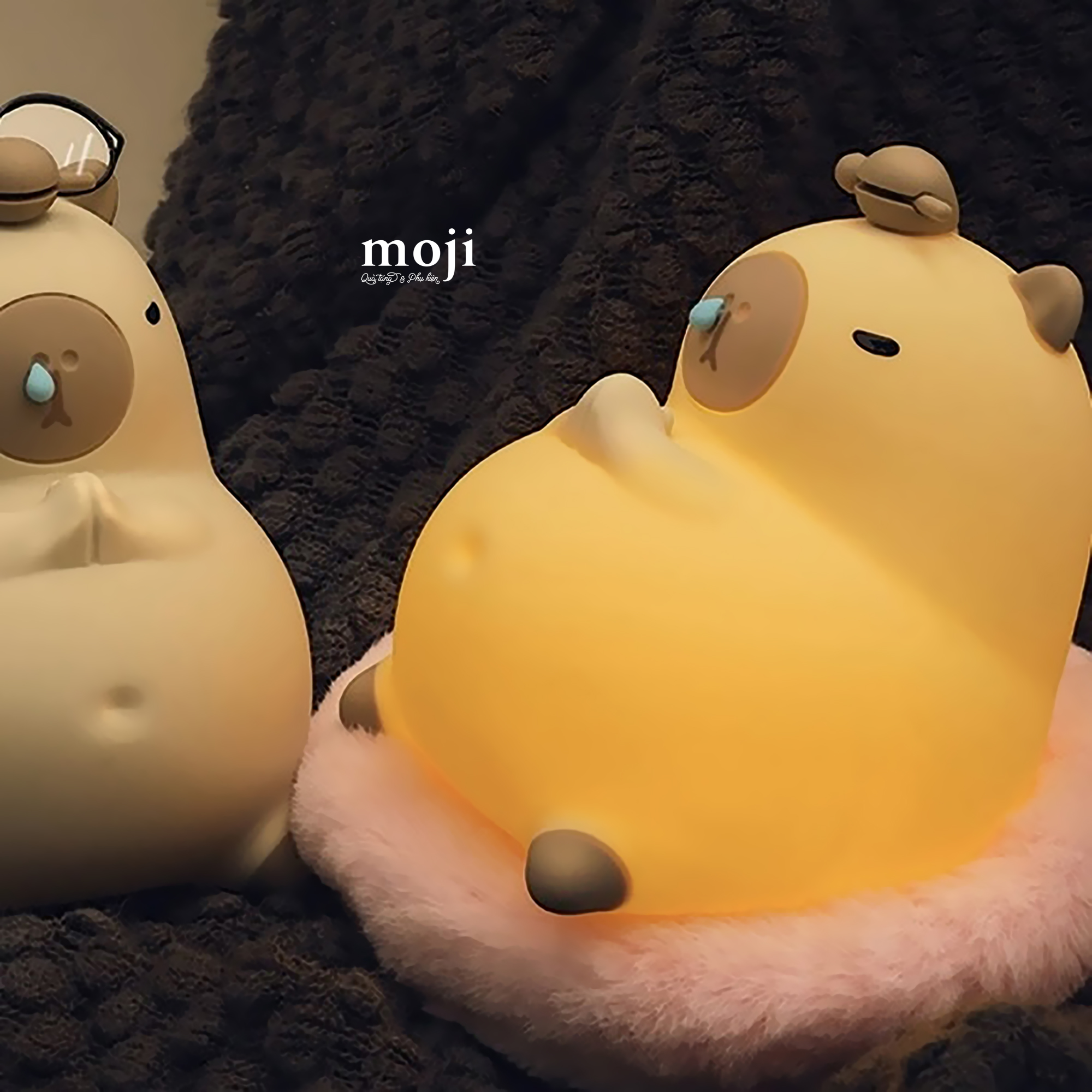 20240425_MqXROAPM.jpg