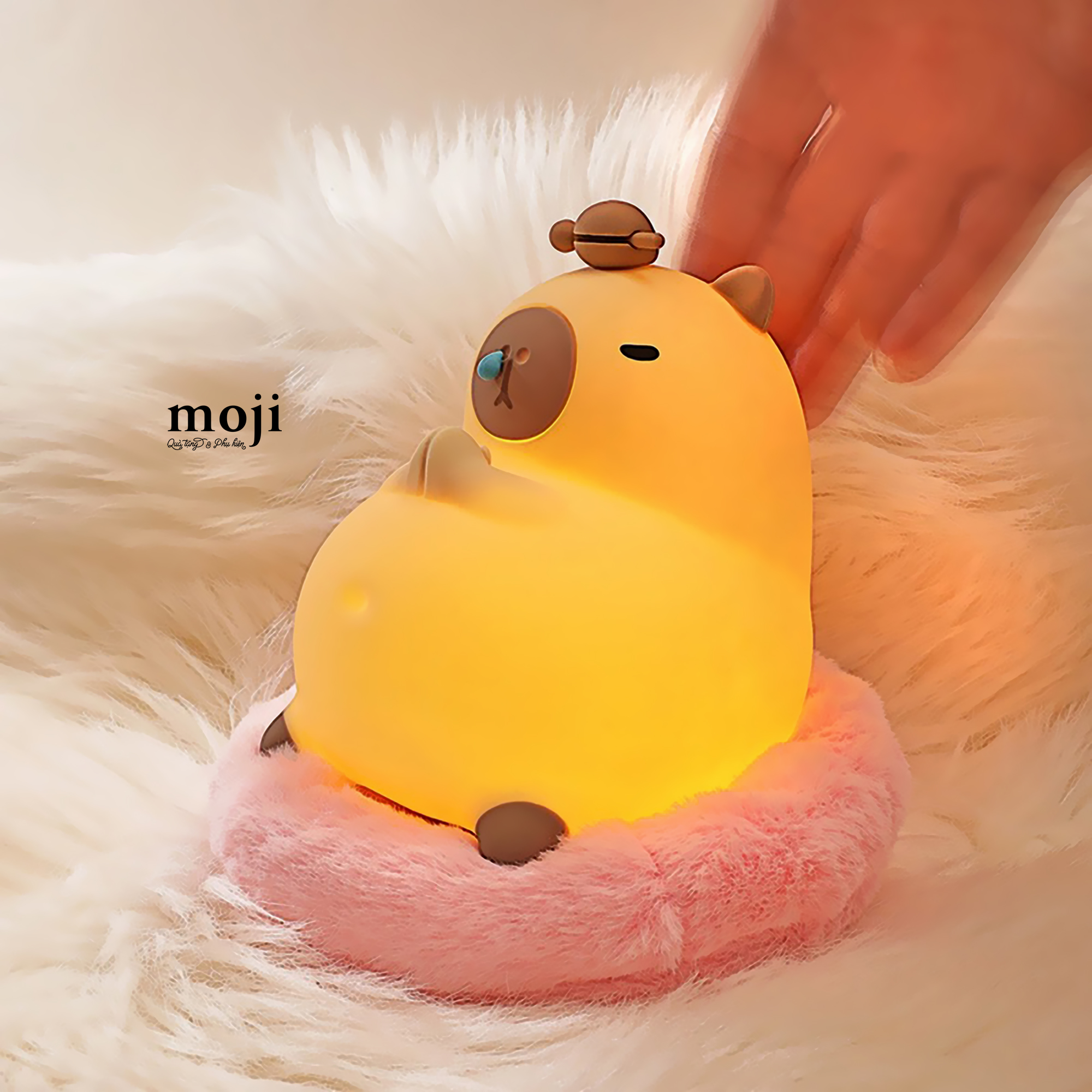 20240425_Vf0iUxKo.JPG