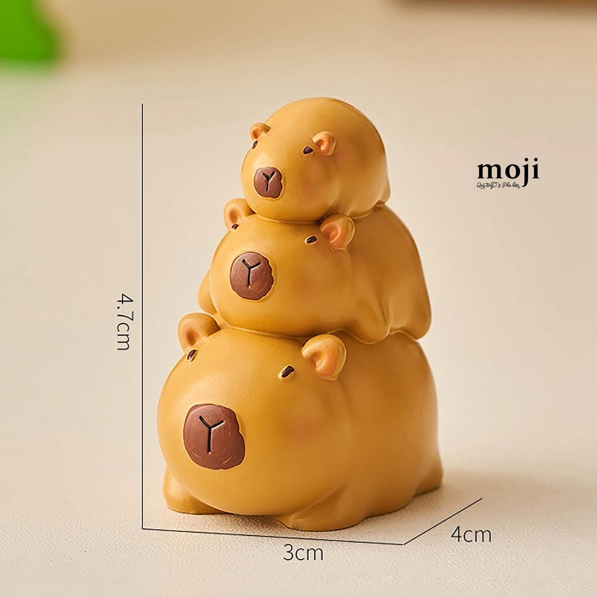 20240514_3PigXbqh.JPG