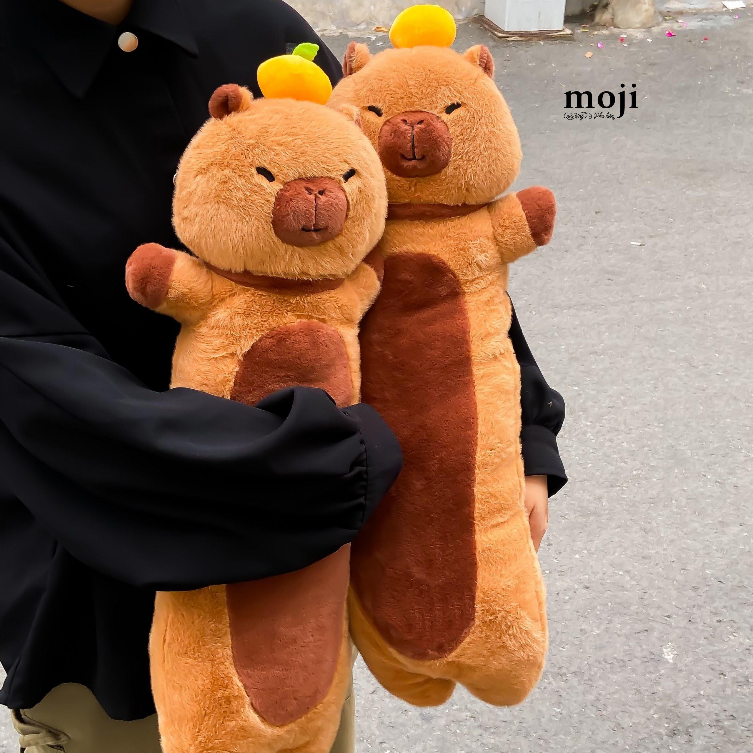 20240520_mmsNzn1O.jpg