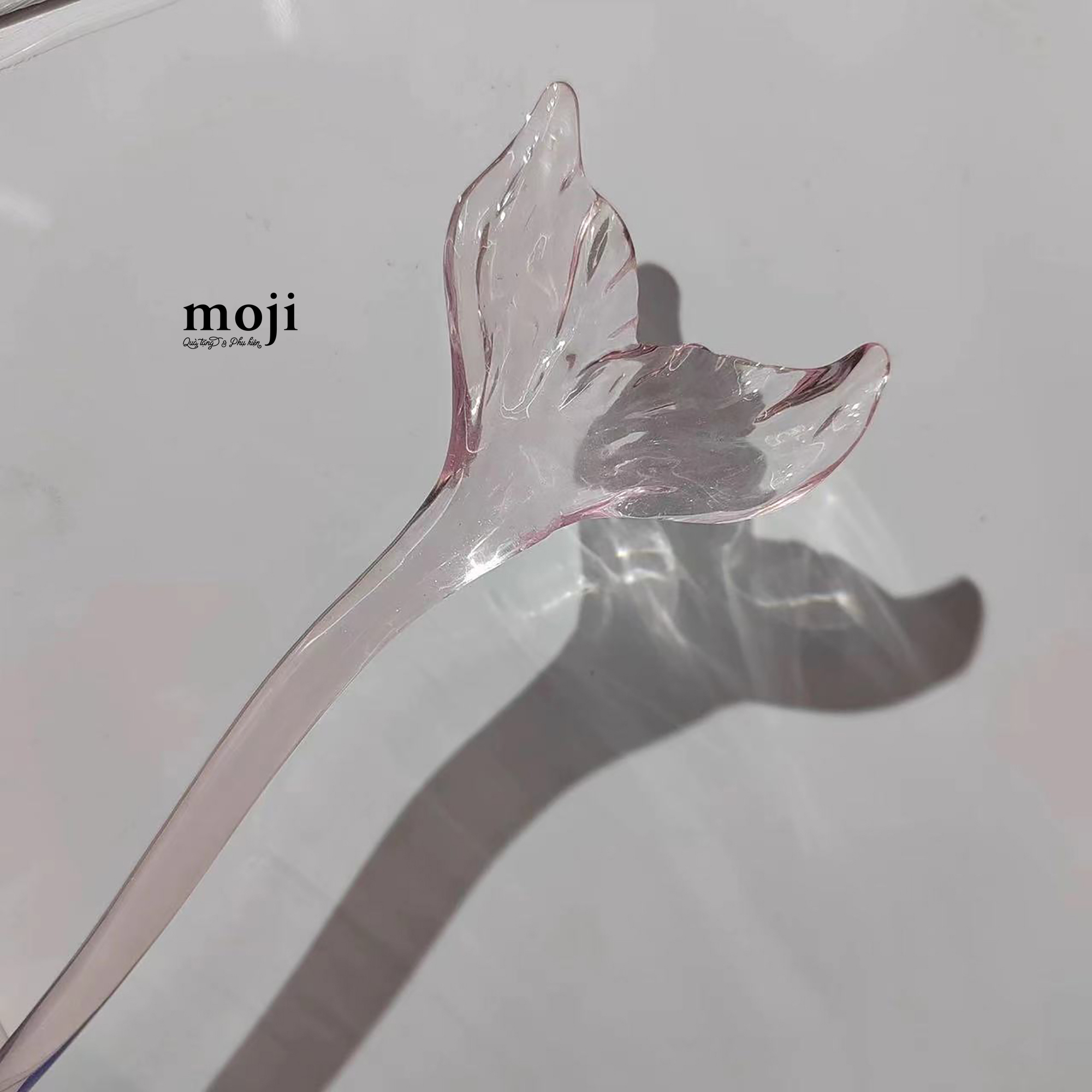 20240803_YegJkvMb.jpeg