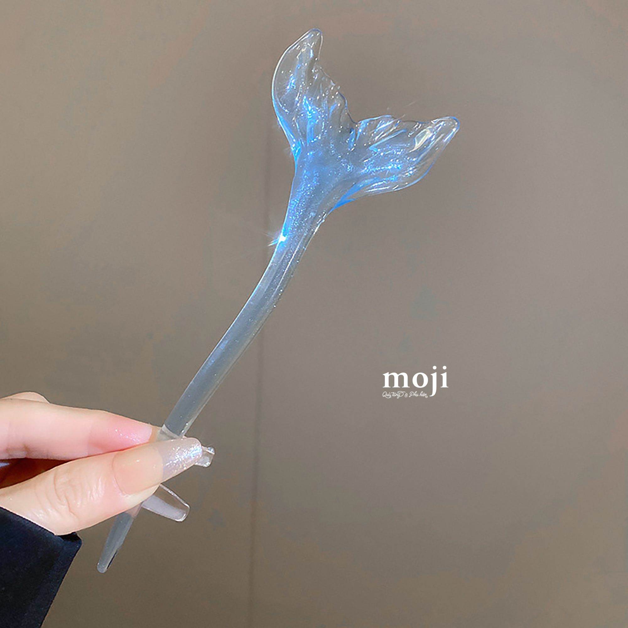 20240803_tPNqh9V9.jpeg