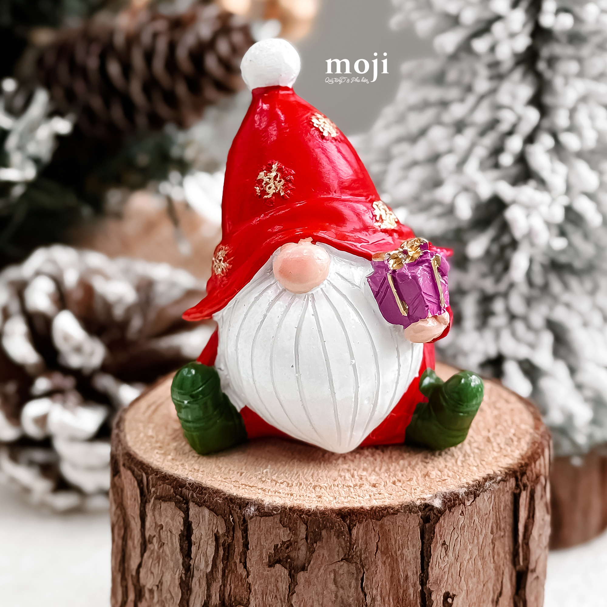20241031_fdOGn8gB.JPG