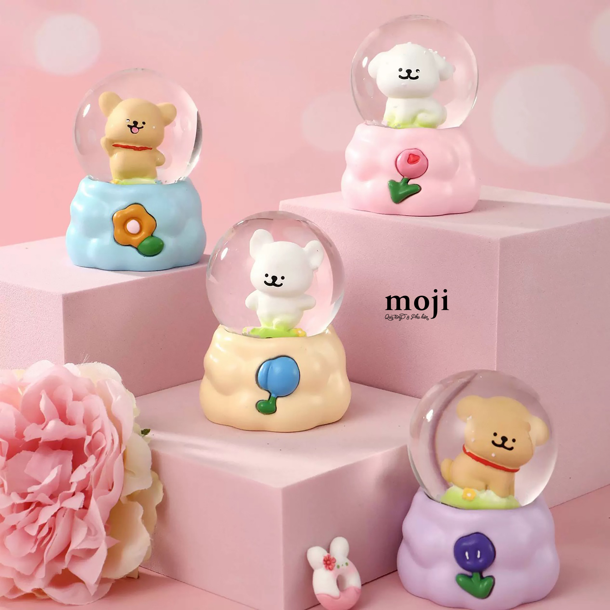 20241119_n6OMrXoL.JPG