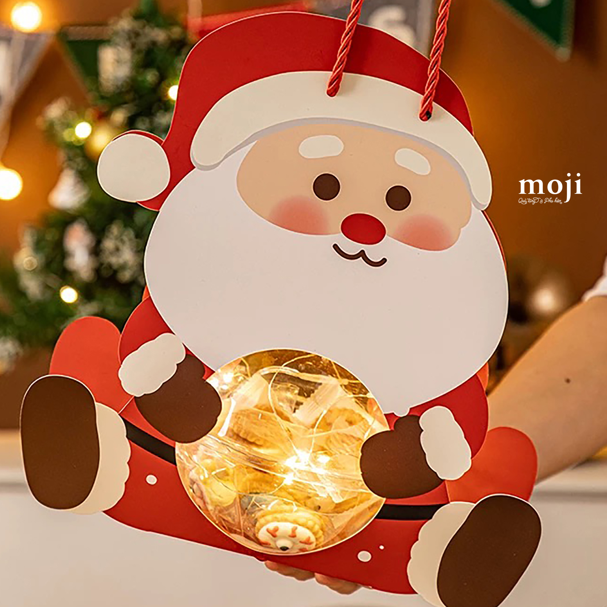 20241202_wuSjbyFd.JPG