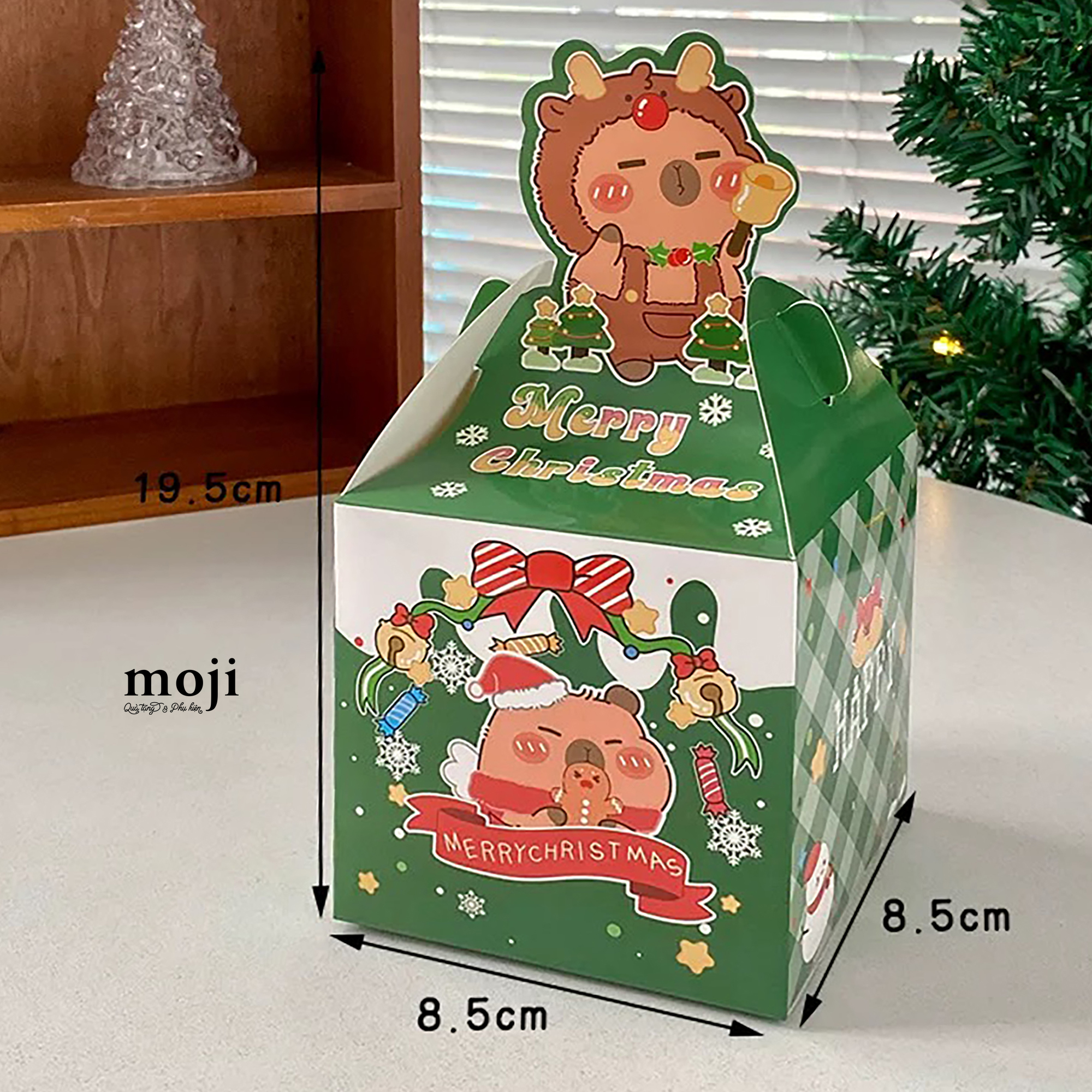 20241205_krQ9LILB.JPG