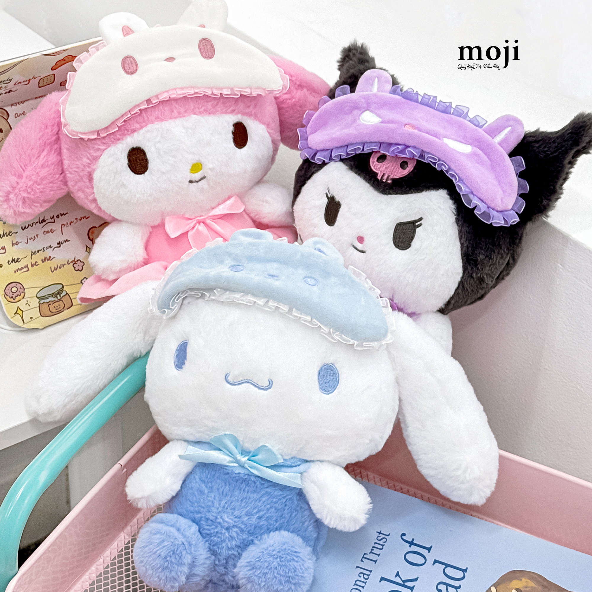 20241208_GIUwJh1H.JPG