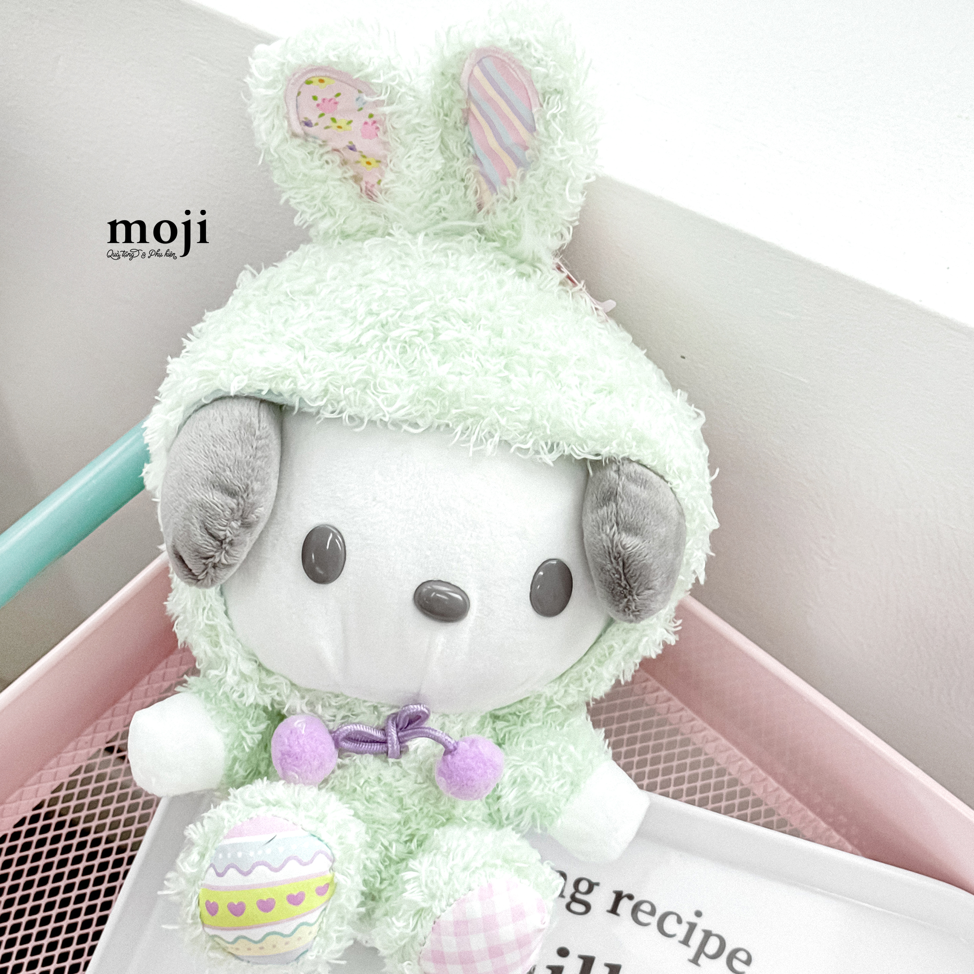 20250107_hGQM8nmt.JPG