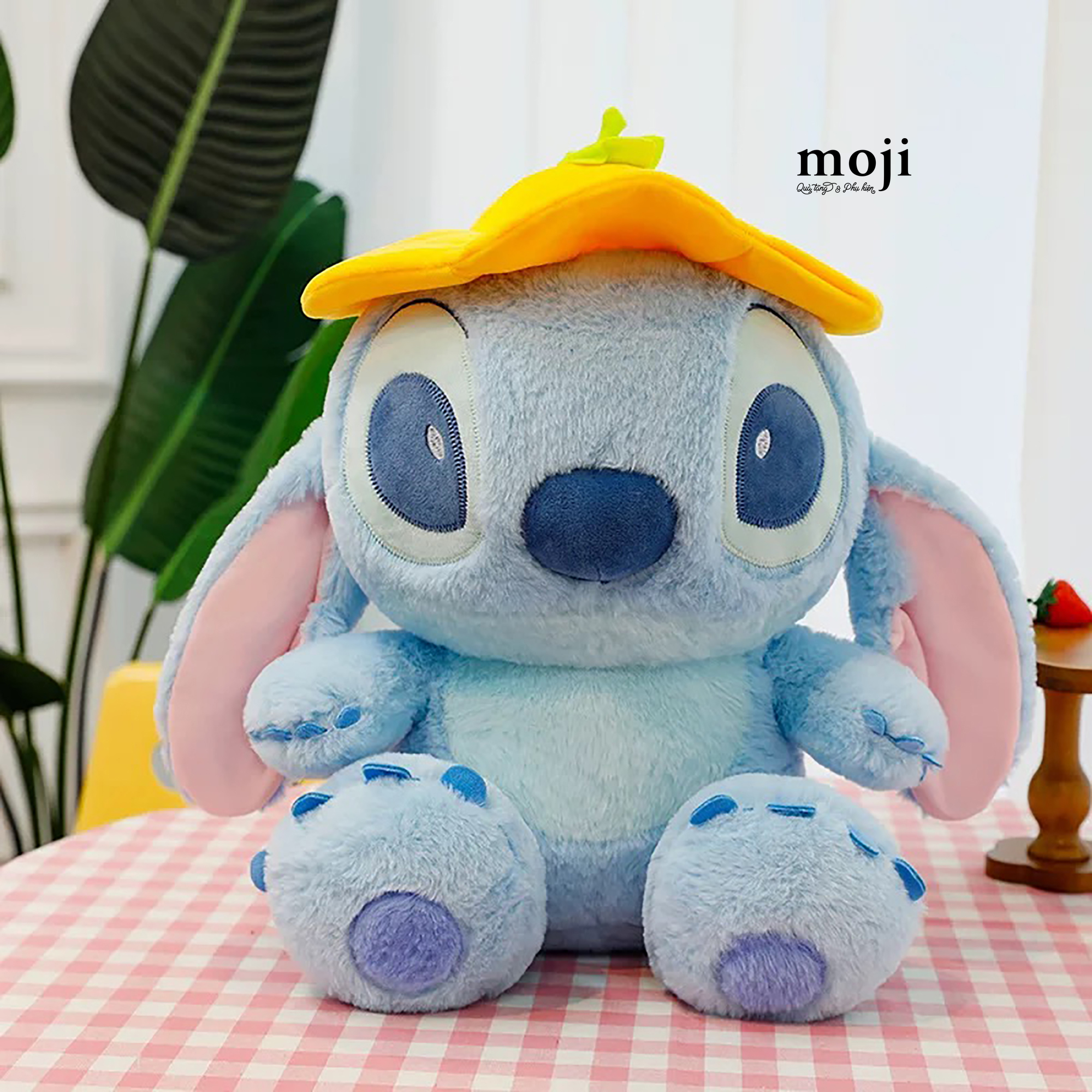 20250206_3FMvaZL6.JPG
