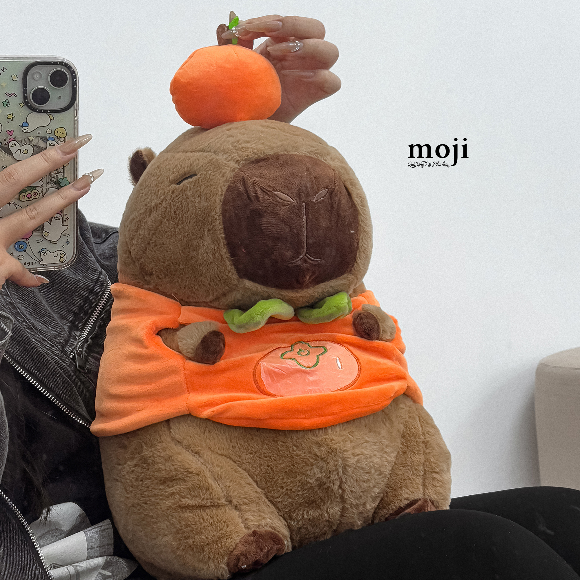20250220_XLevNgmU.JPG