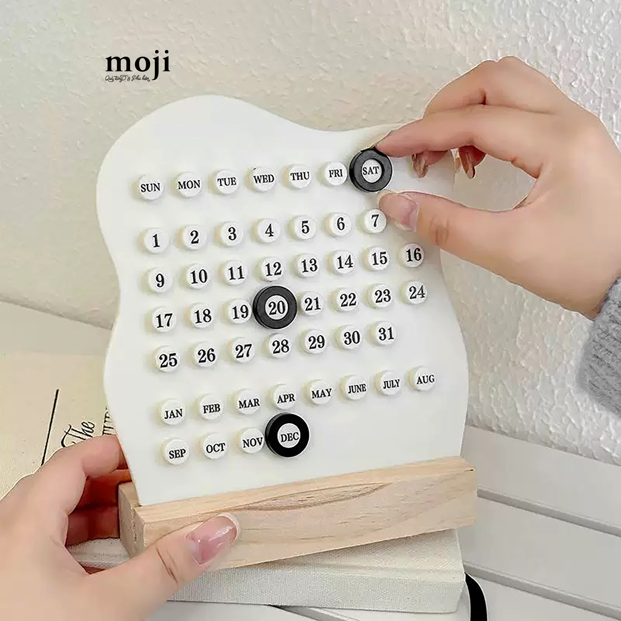 20250225_JyYvDMGl.JPG