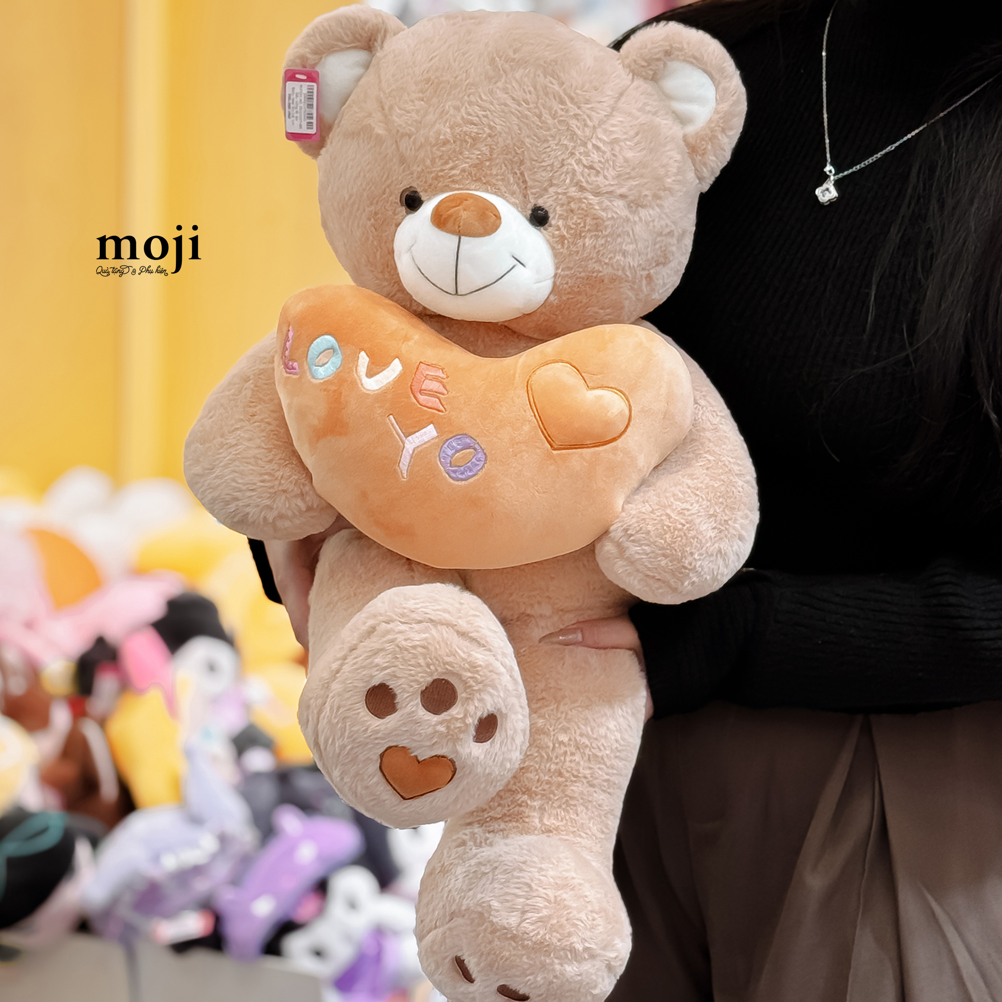 20250228_mJosMX6r.JPG