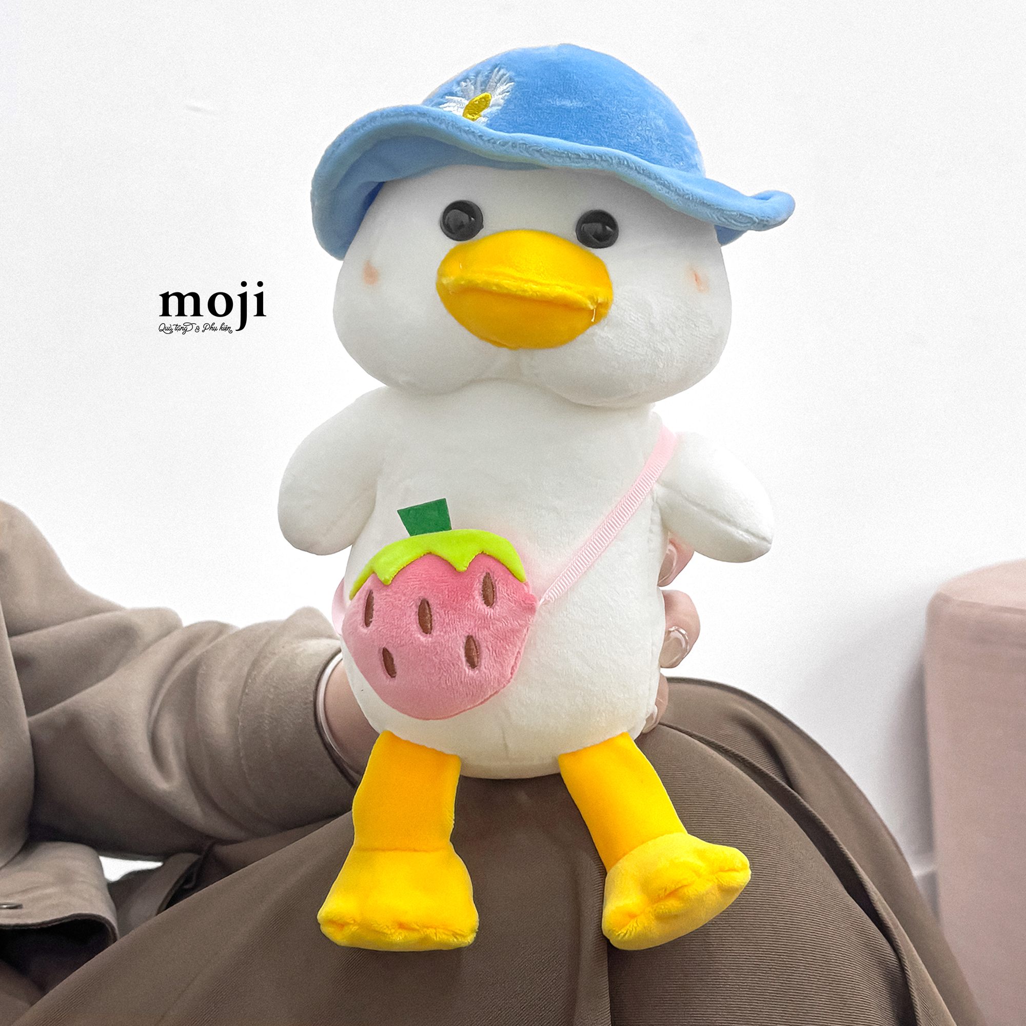 20250307_RiN9daQD.JPG