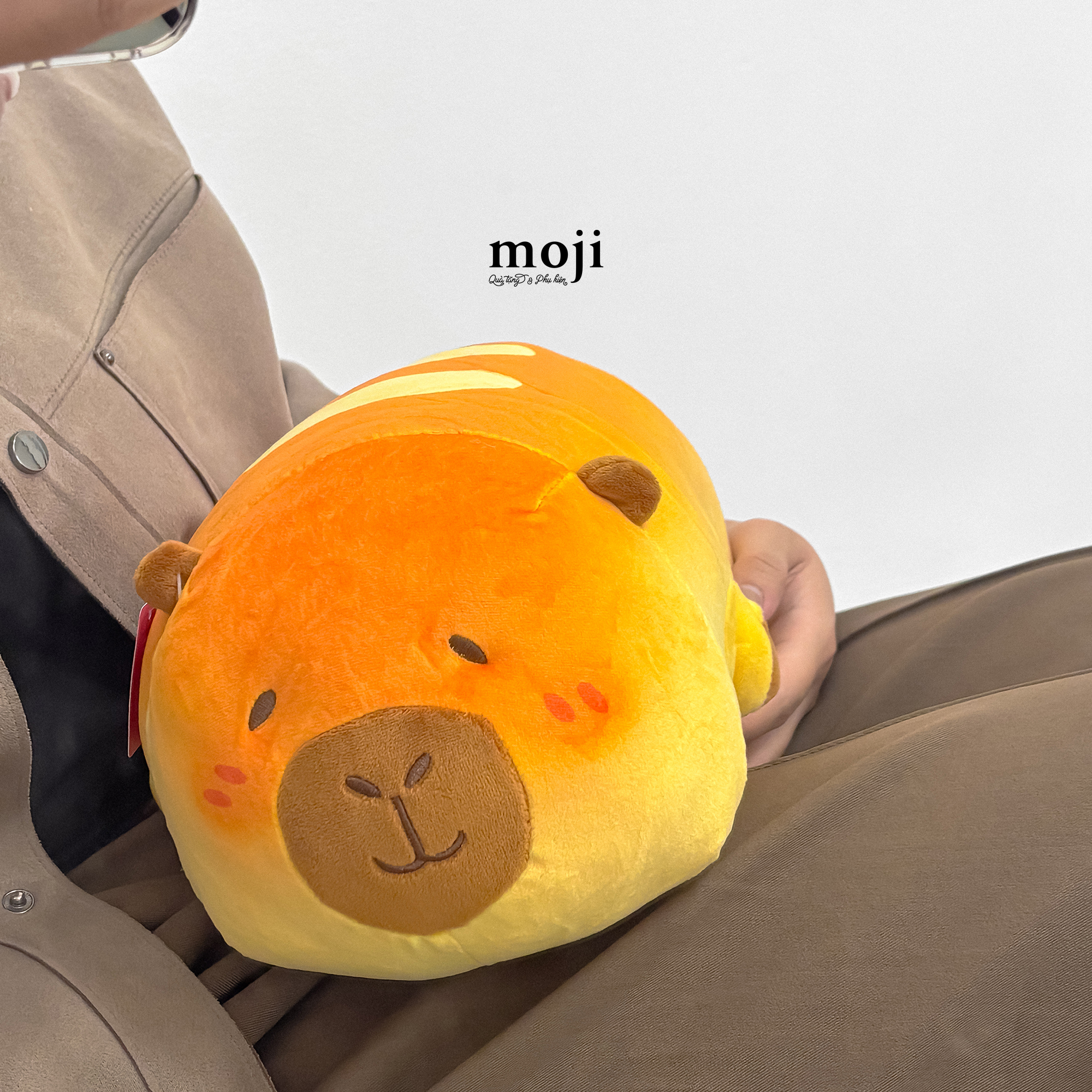 20250307_nMU7JXAq.JPG