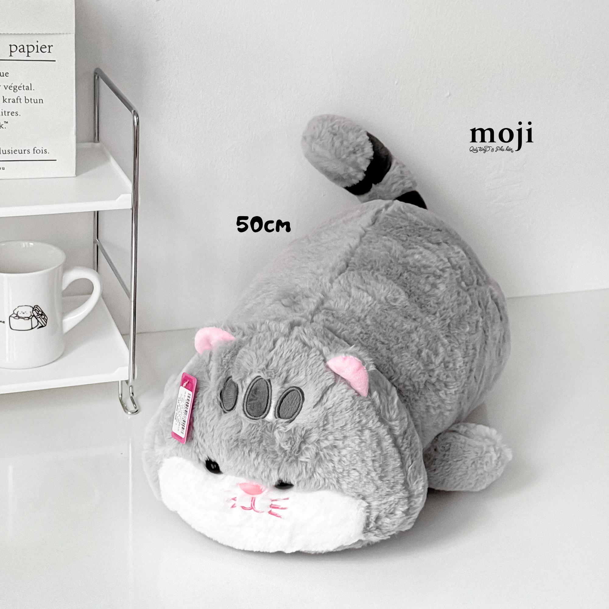 20250412_Uymgkv2H.JPG