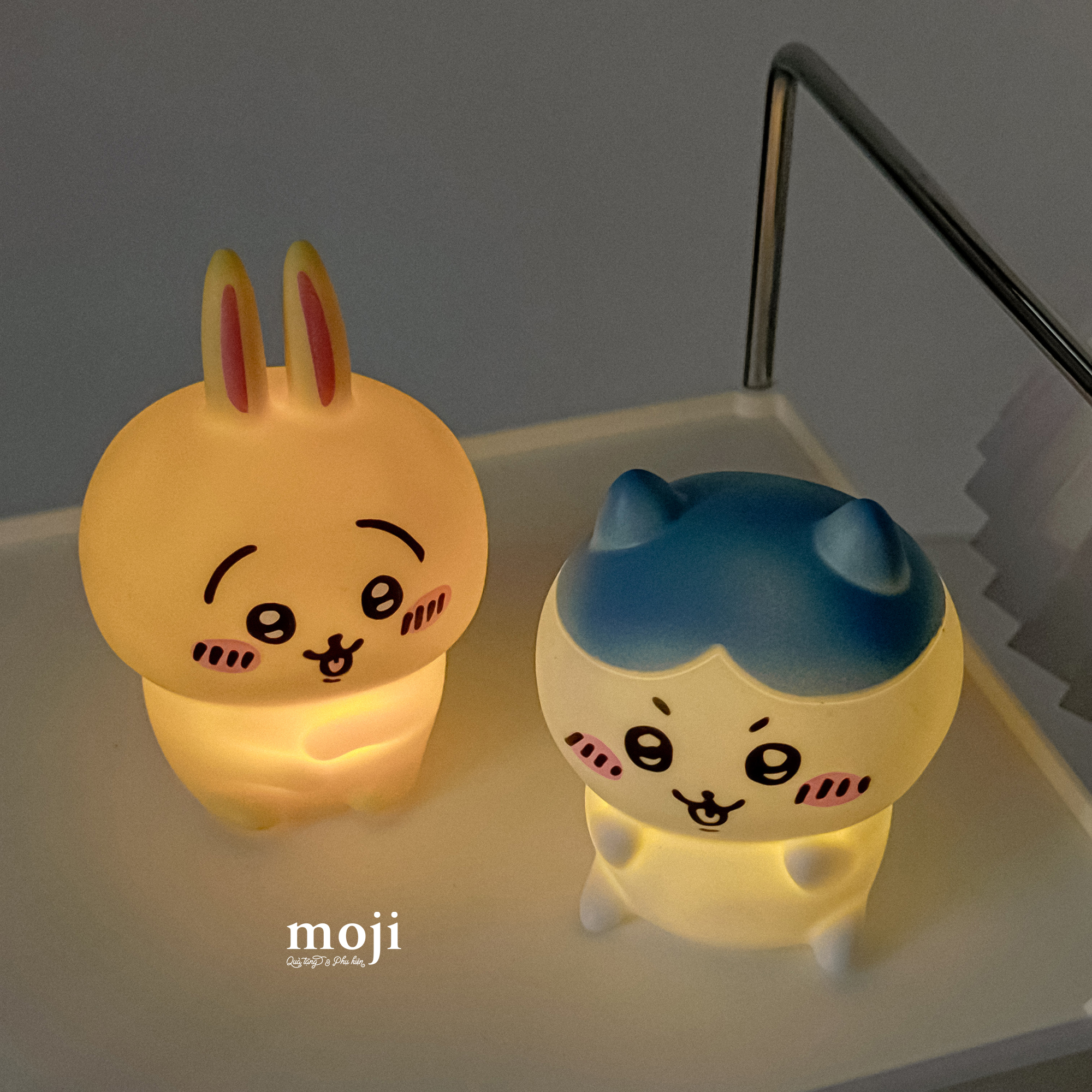 20250416_LLUOXGR5.JPG