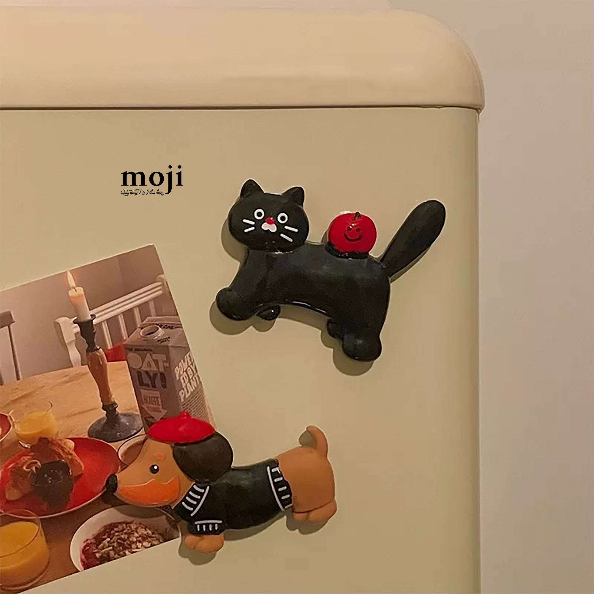 20250422_uImWjQ8m.JPG