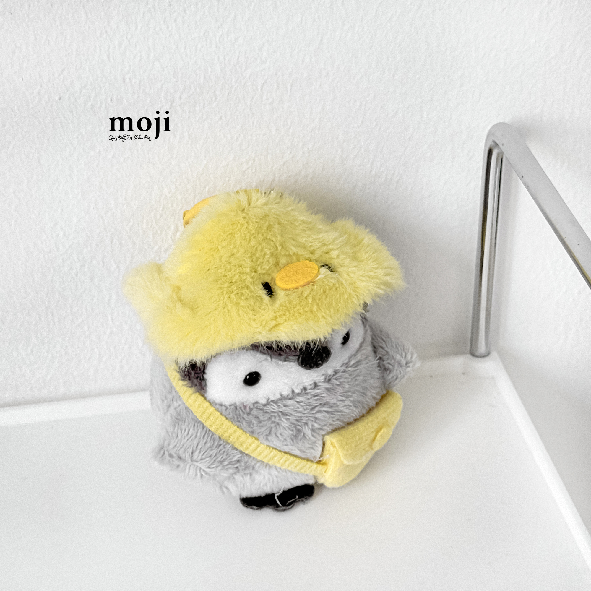 20250424_iZt78zmR.JPG