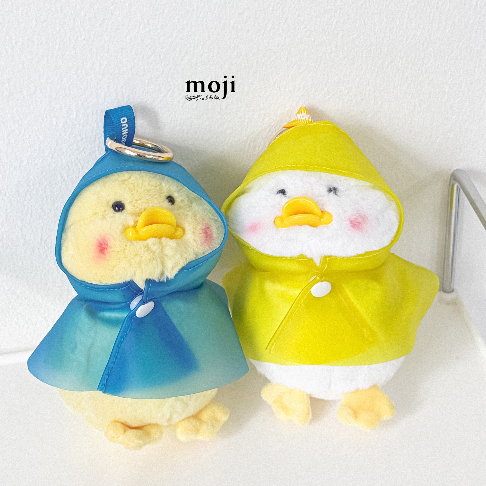 20250430_Y04QCGhU.JPG
