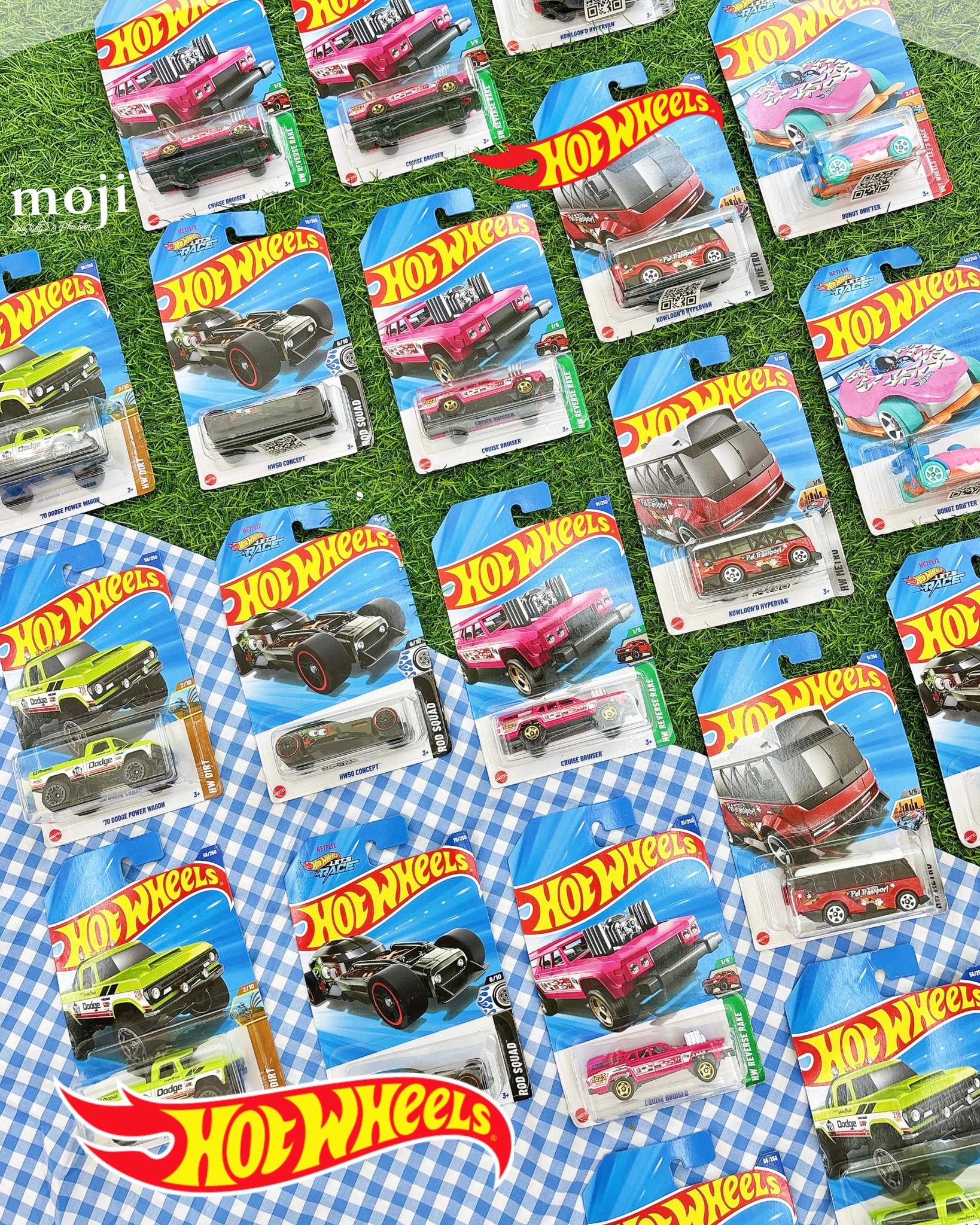 20250514_kJm2RWb2.jpg