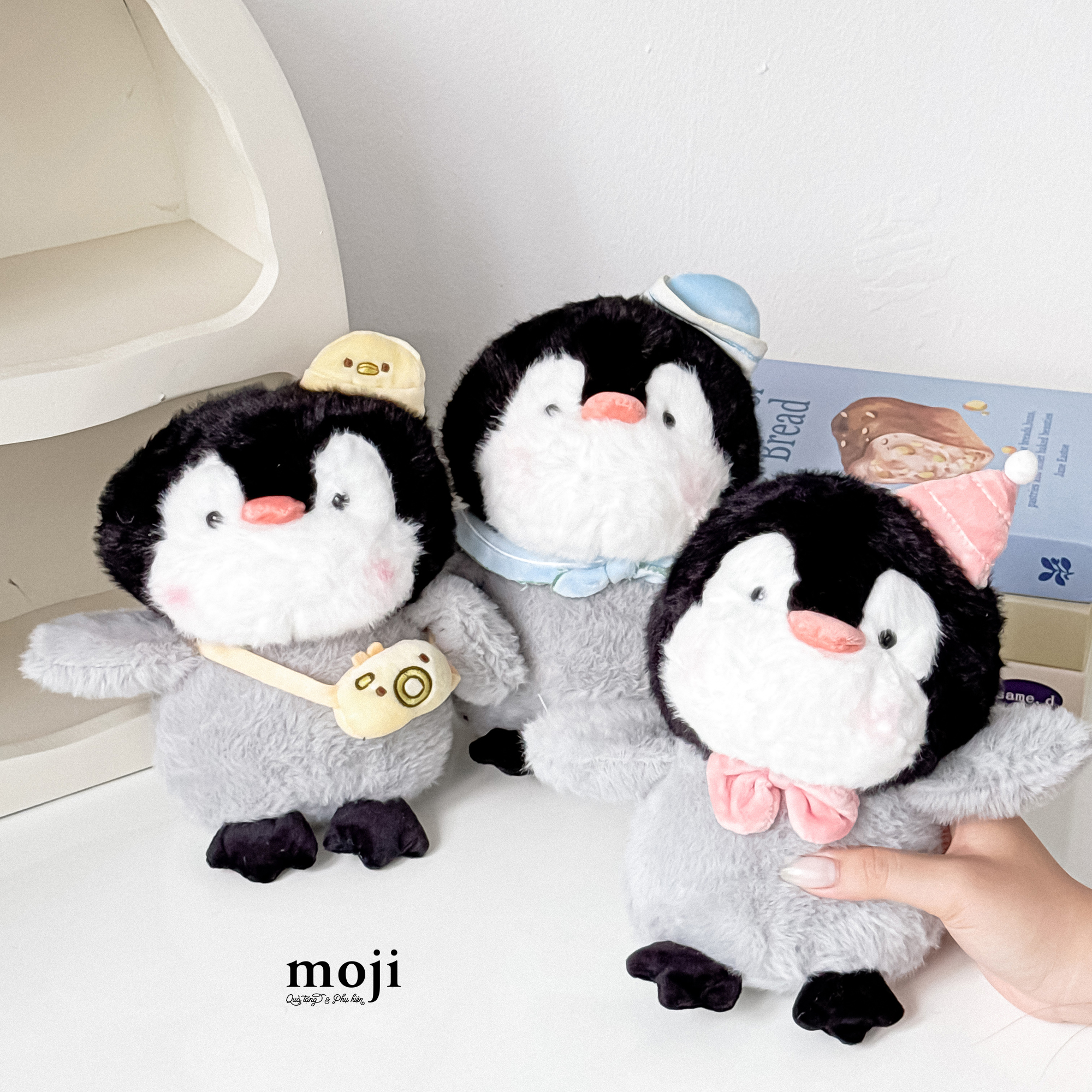 20250517_MGlPuGdE.JPG