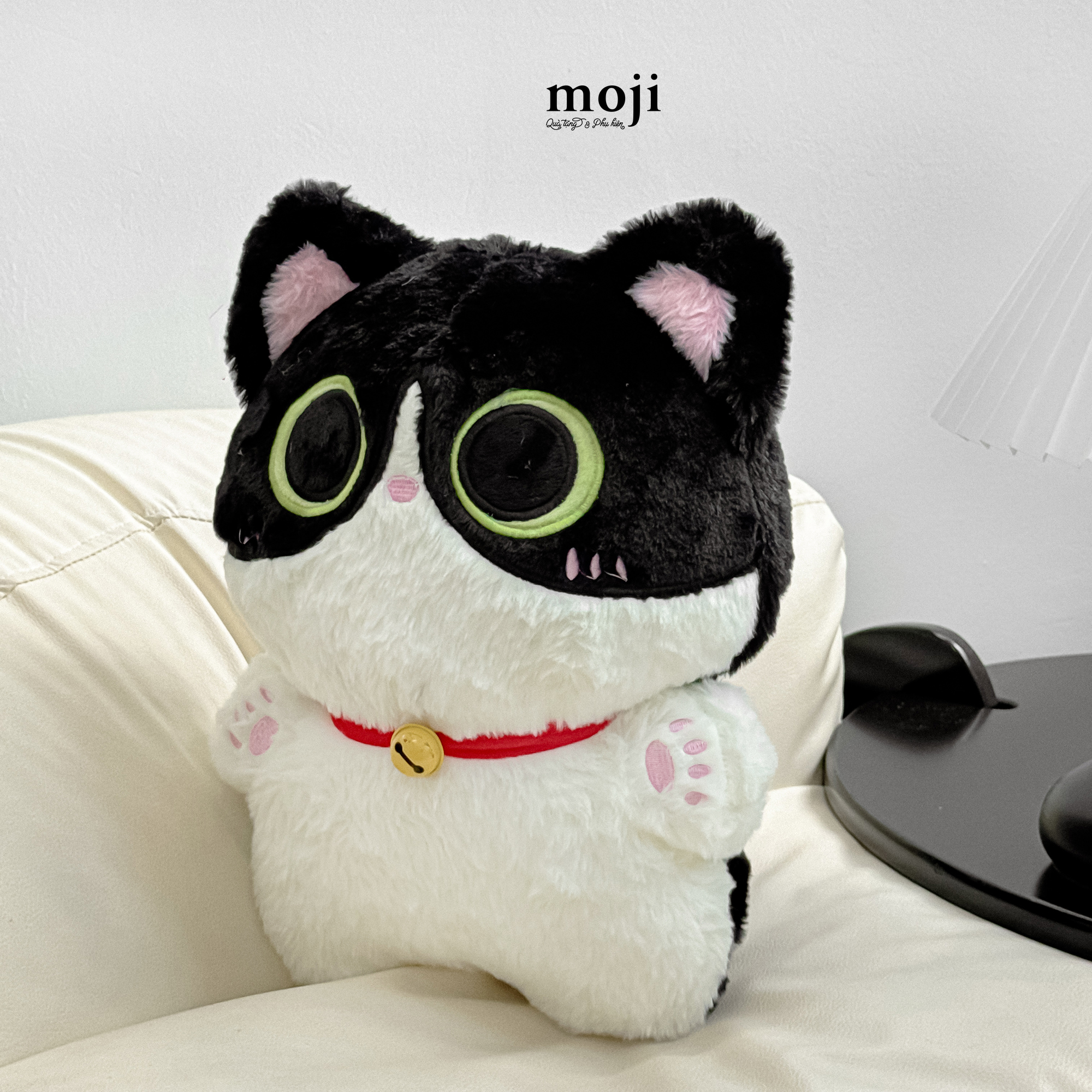 20250619_p8P32u0m.JPG