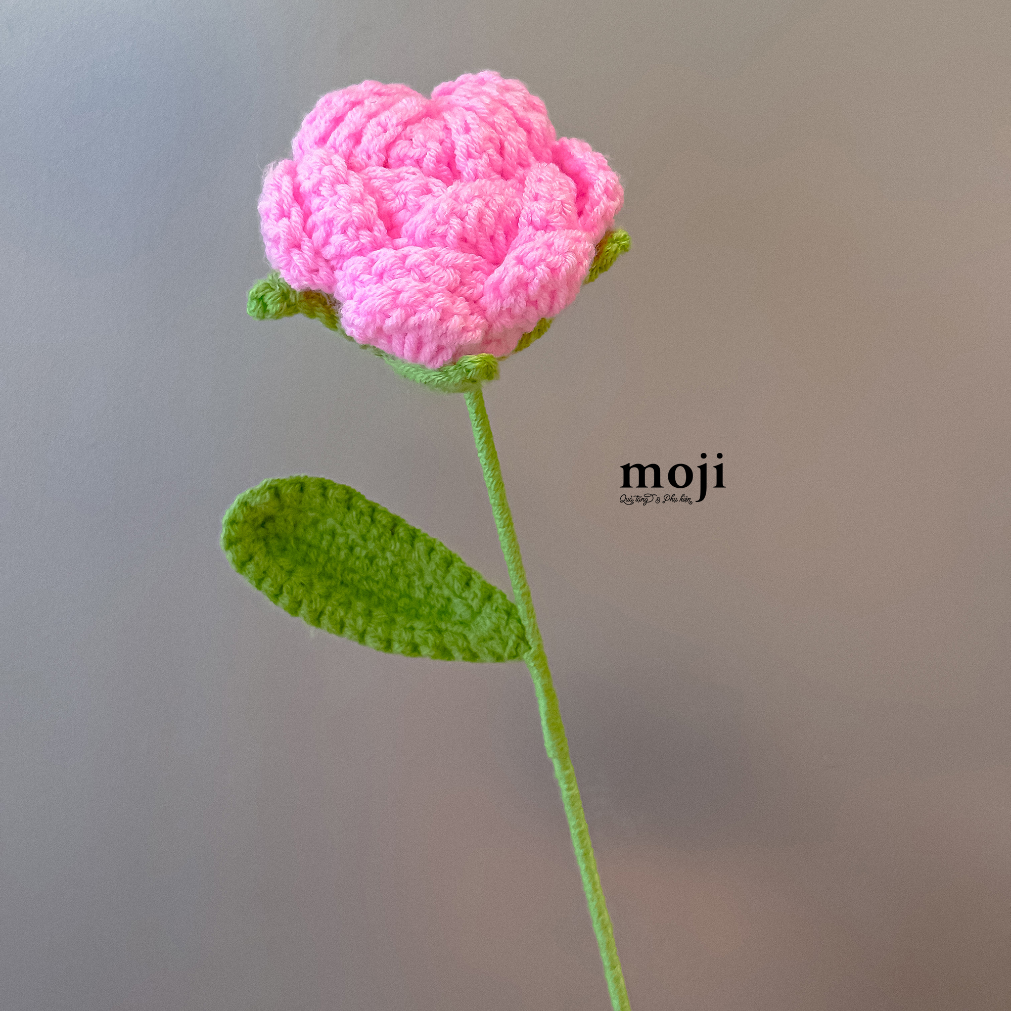 20250908_9a3V7dsH.JPG
