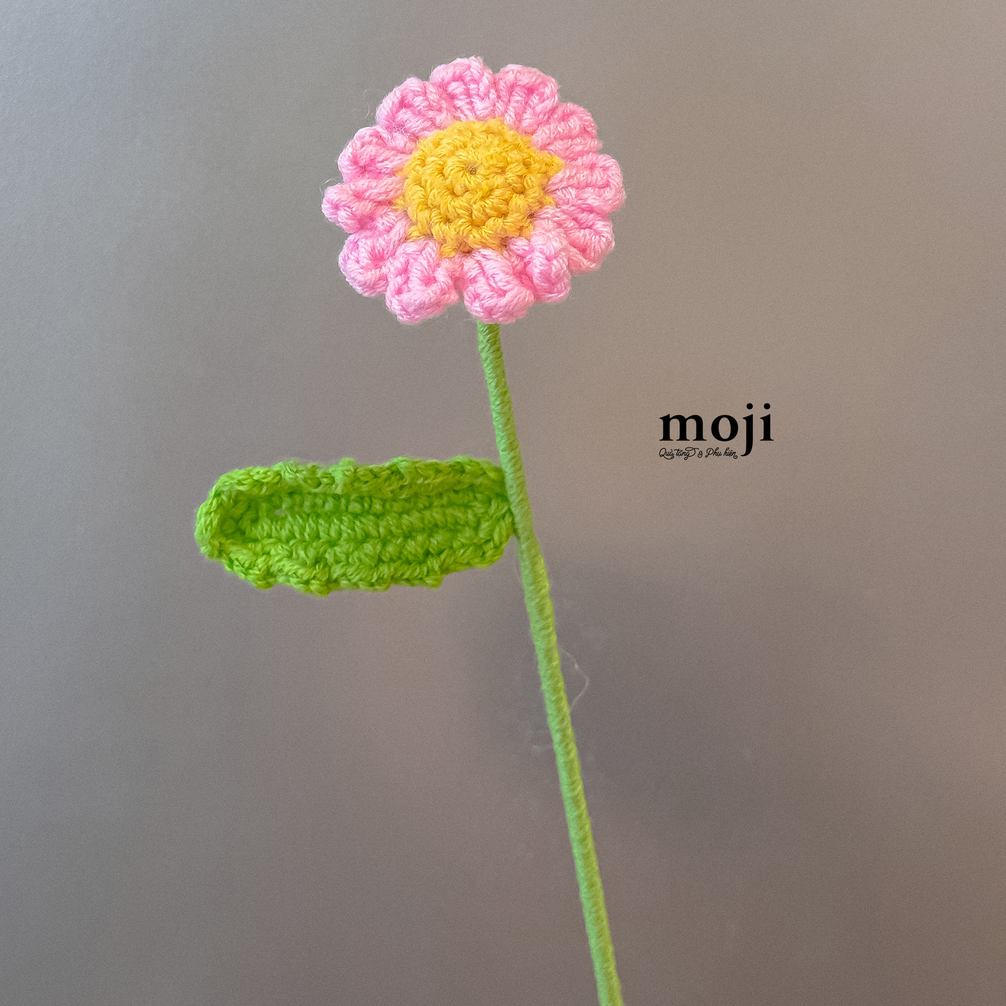 20250908_AiZFkQdr.JPG