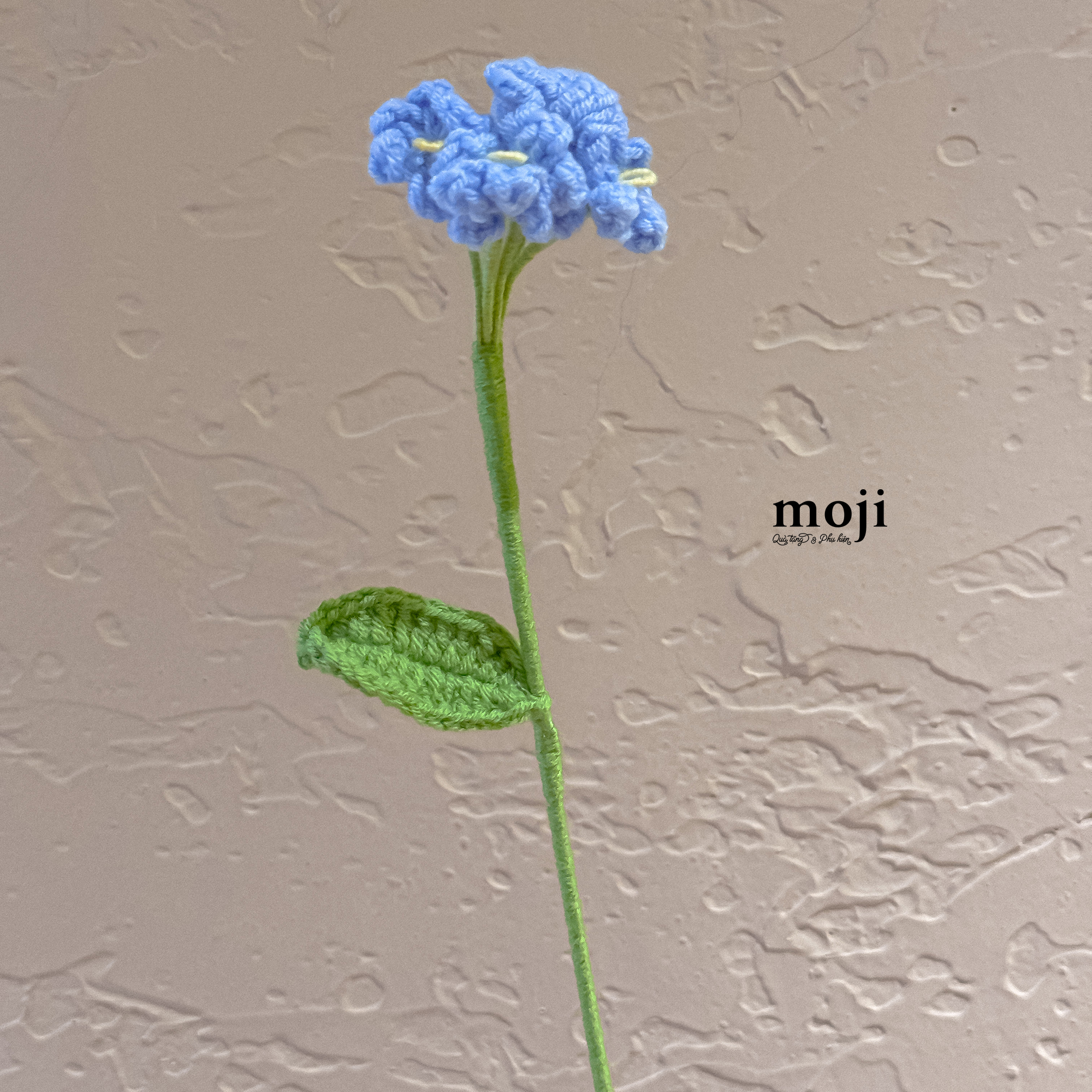 20250908_Eqfi90vs.JPG