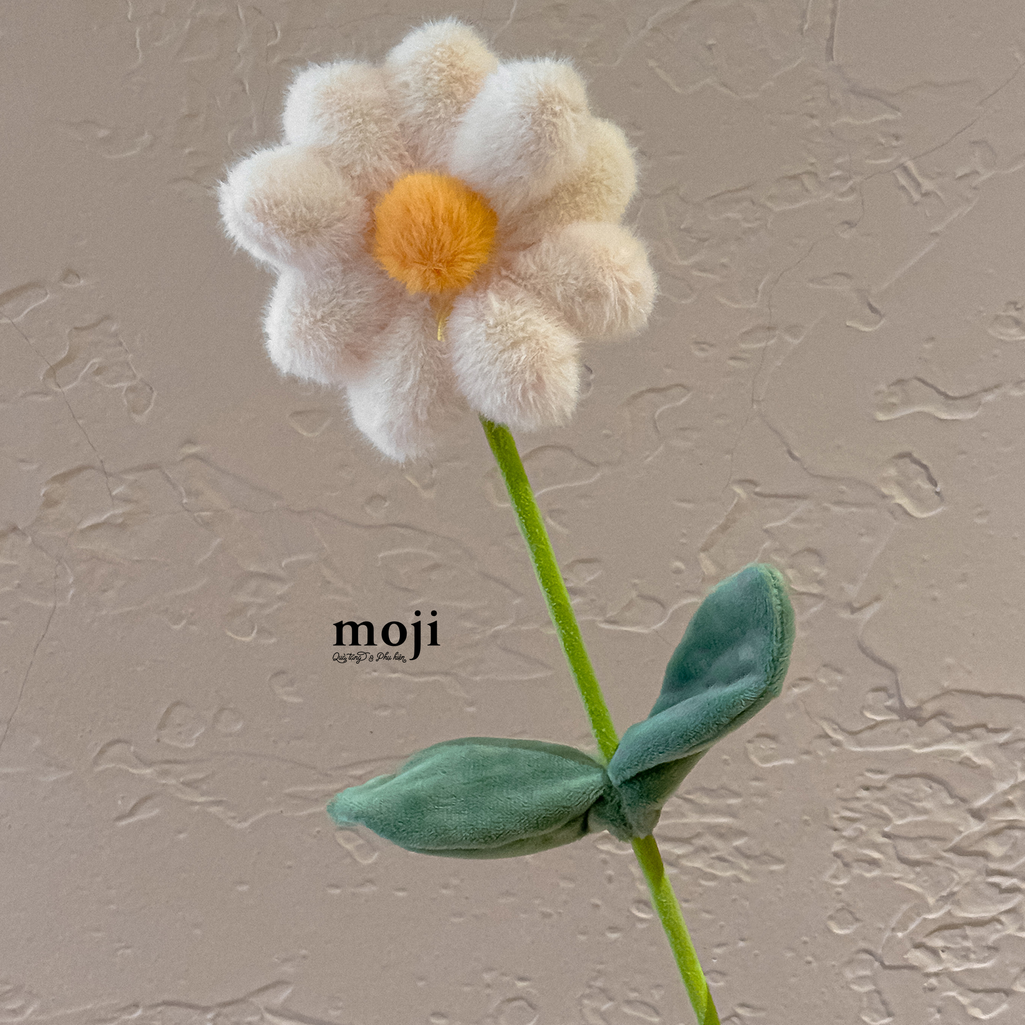 20250908_GI3y3D7m.JPG