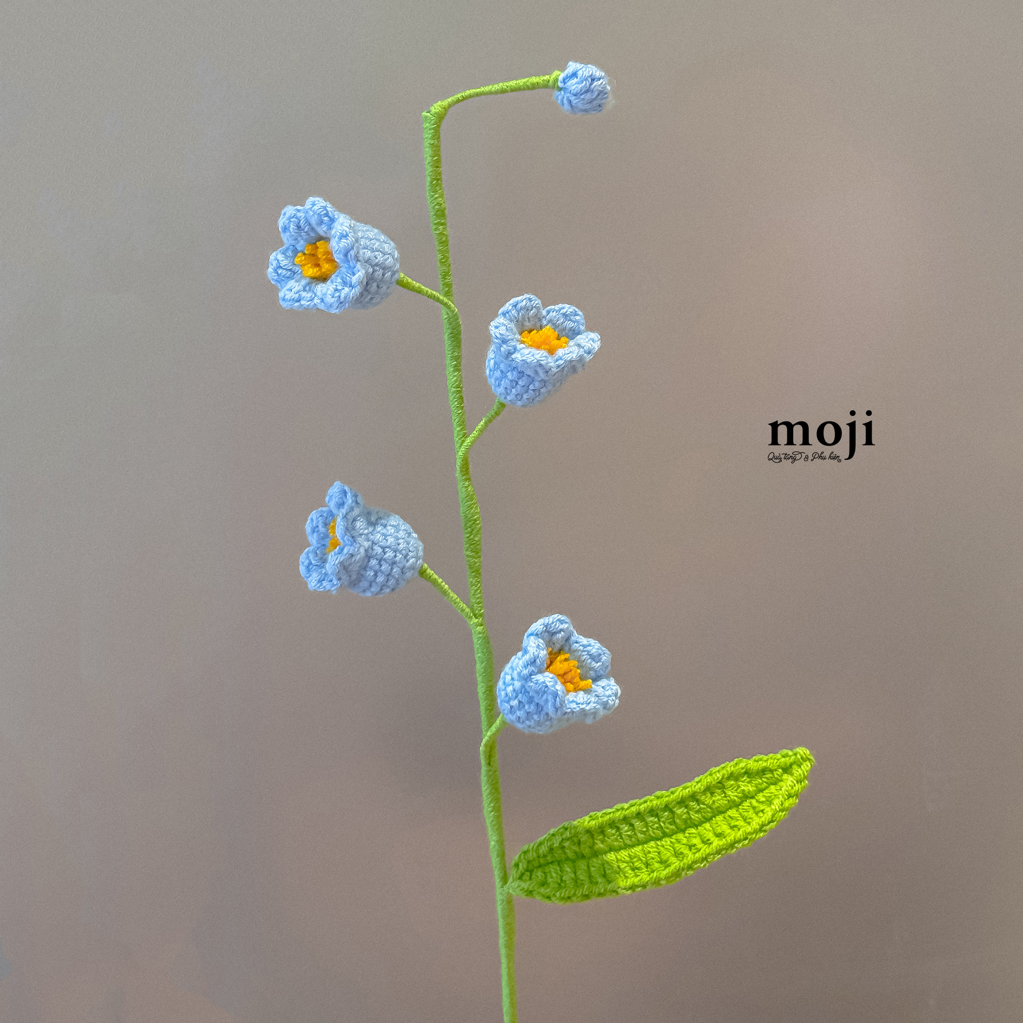 20250908_lhCrwD8P.JPG