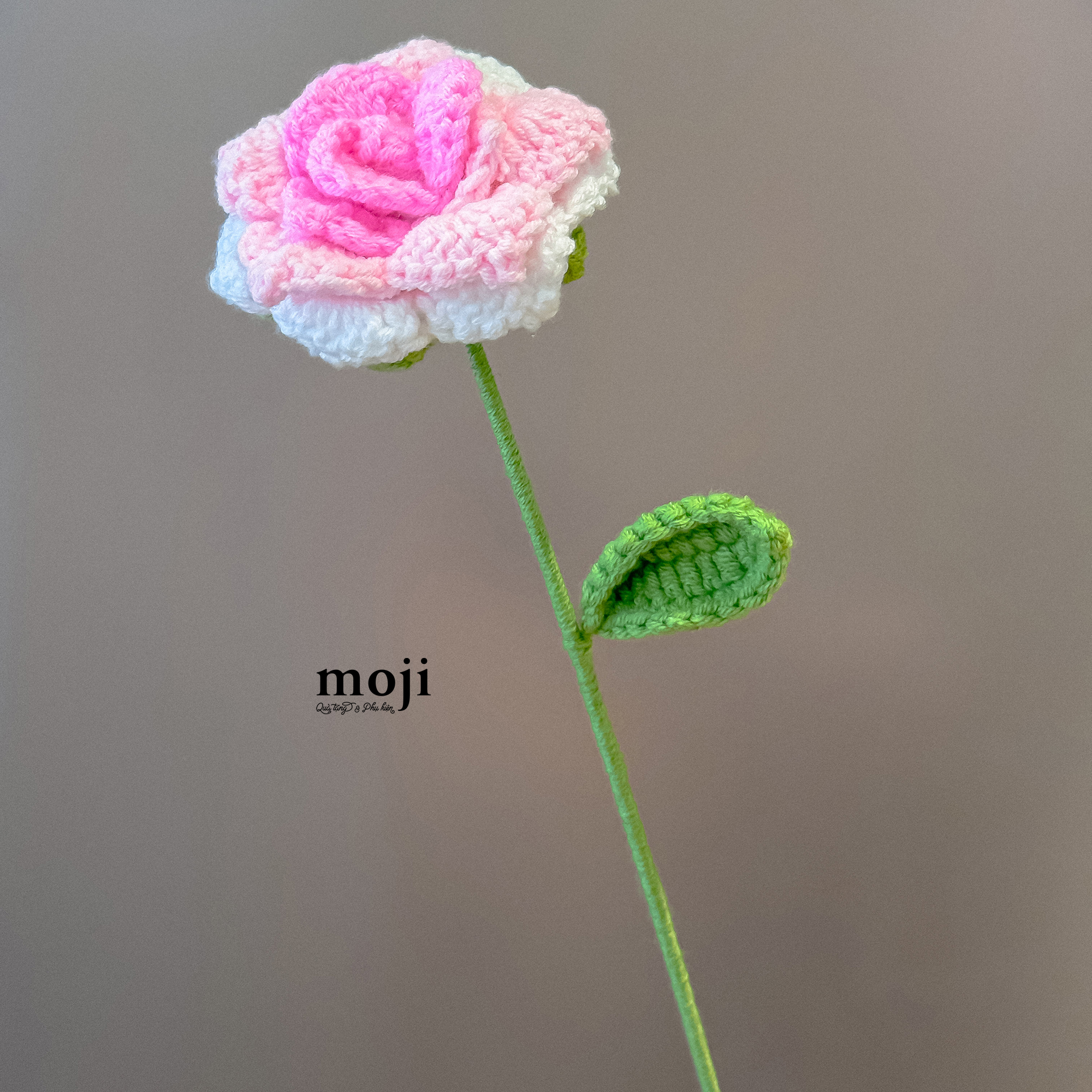 20250908_mzK1s1fu.JPG
