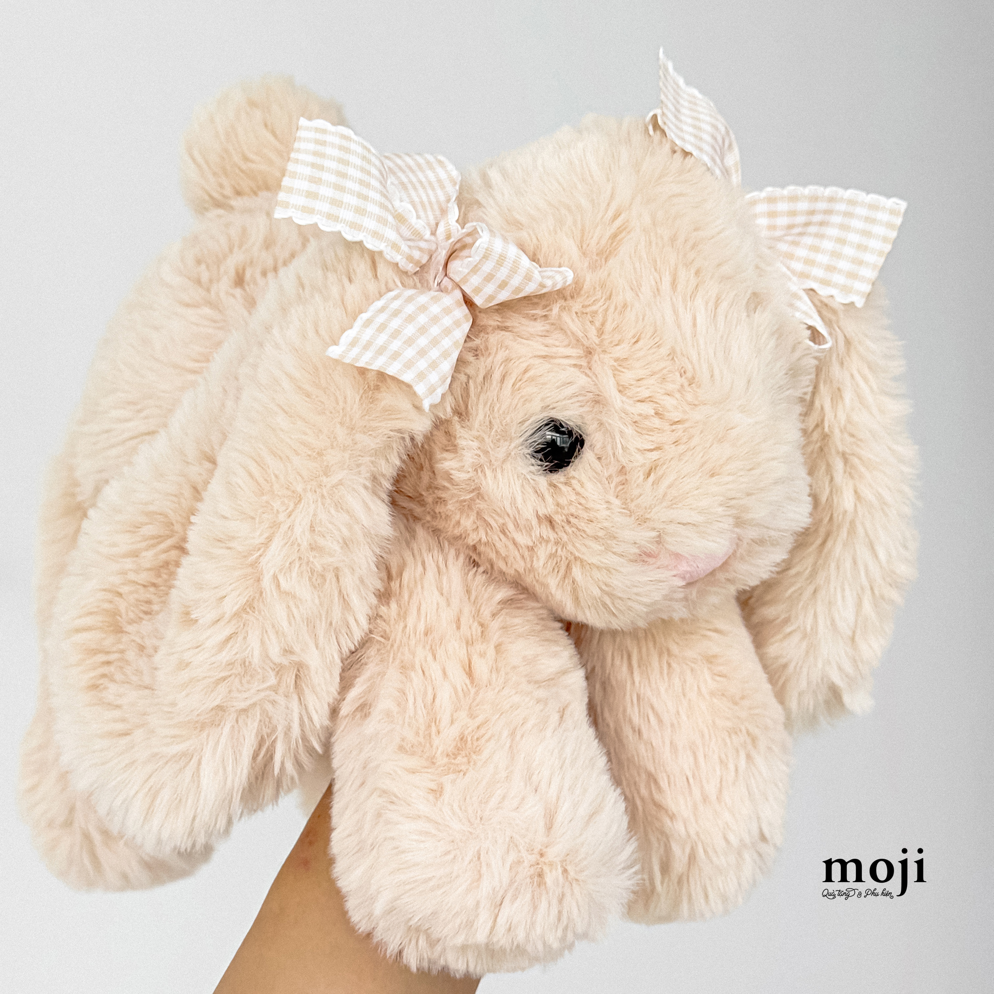 20251007_R2lH9D2x.JPG