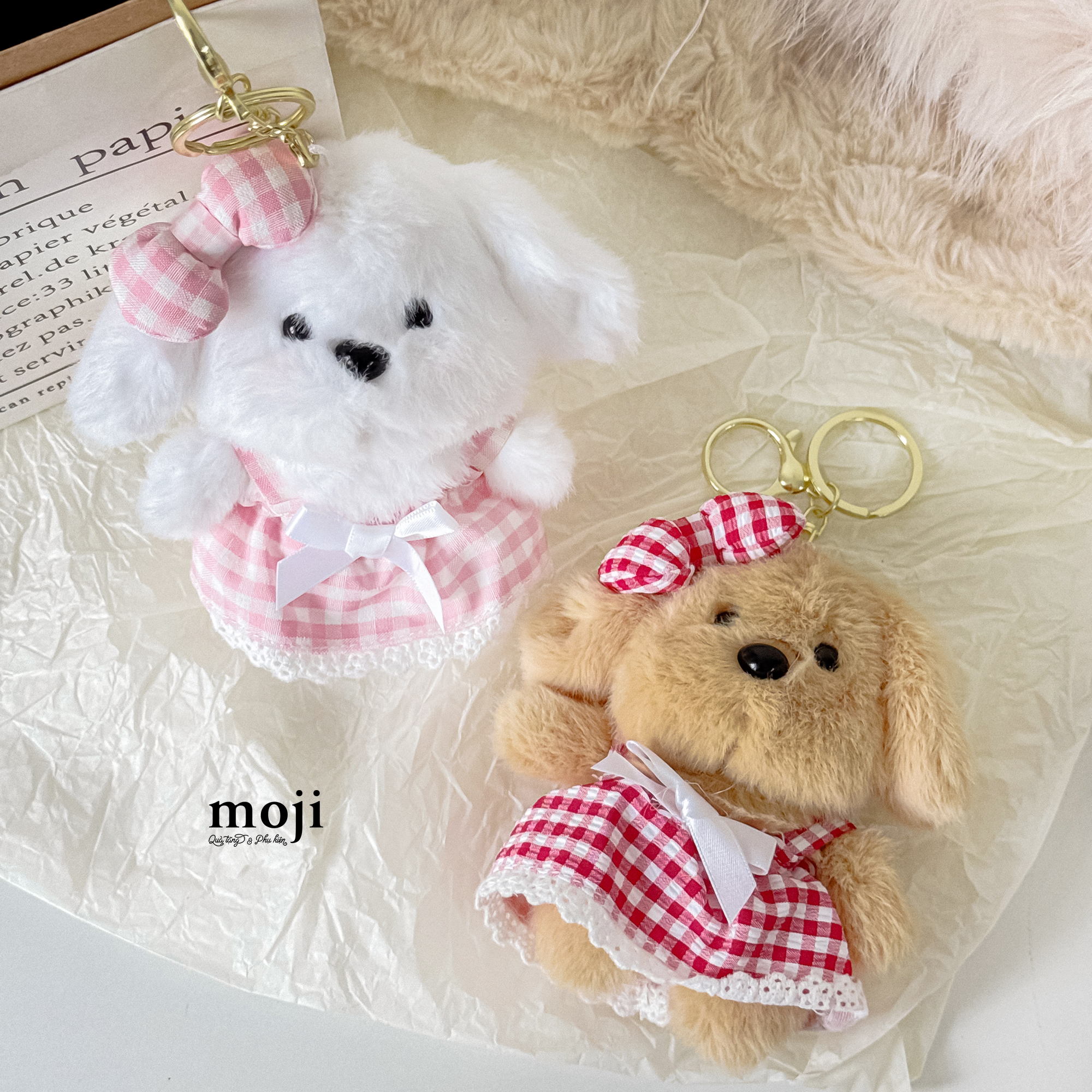 20251021_YsfmGZ7m.JPG