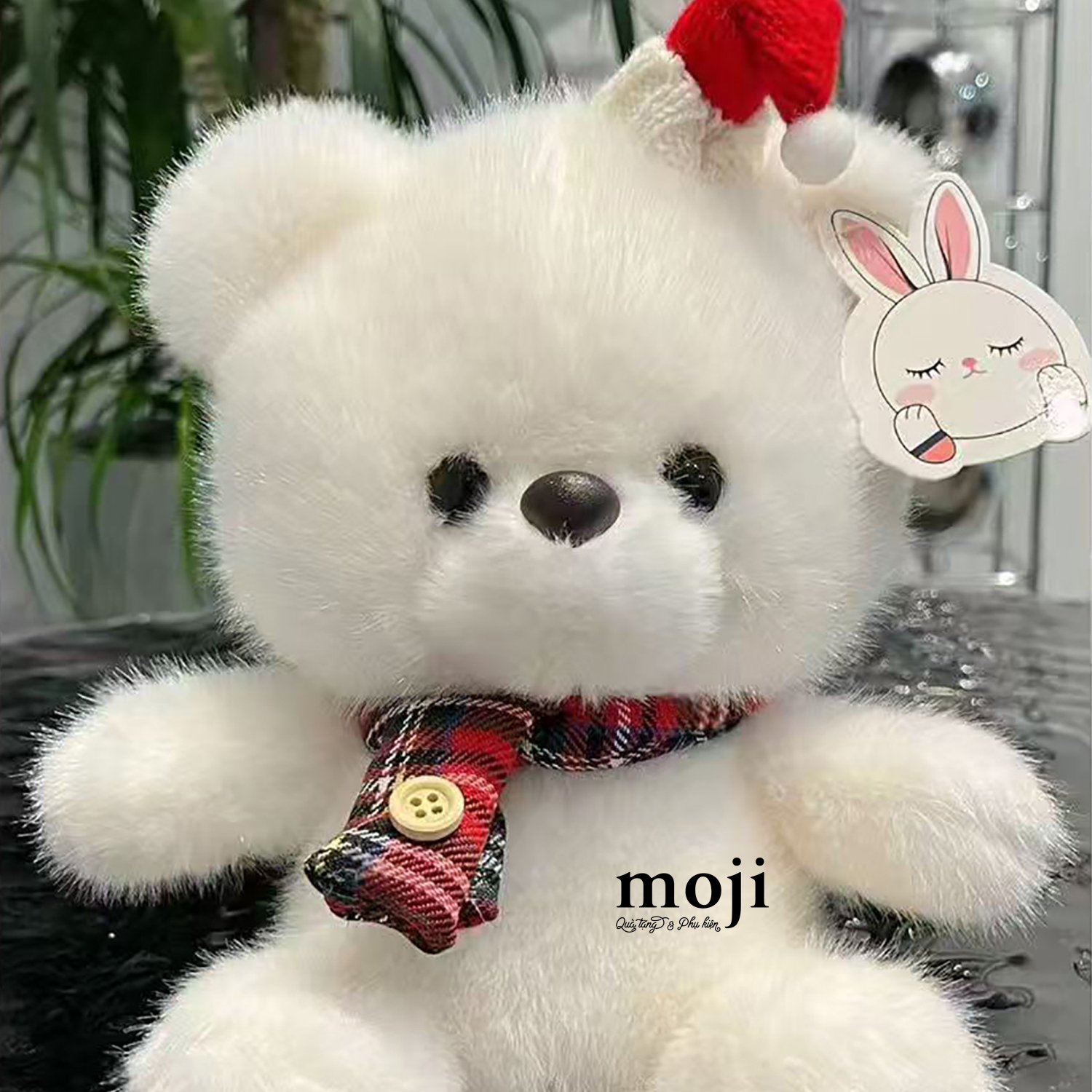 20251224_XIHES3RI.jpg