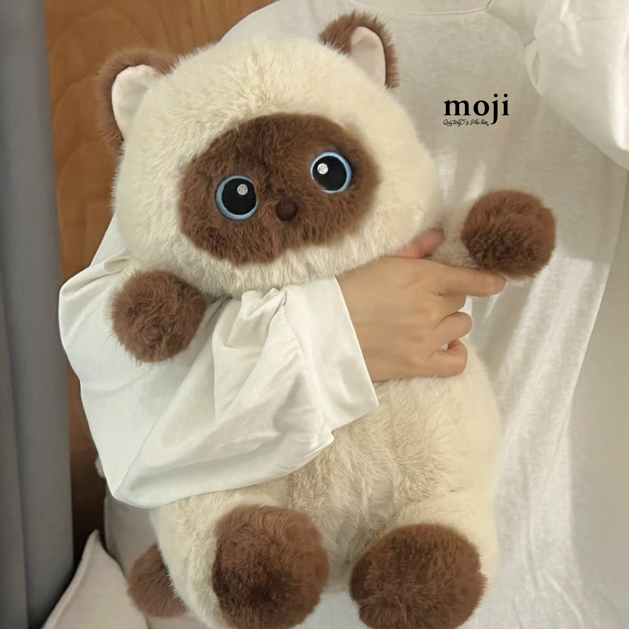 20260107_gc0He2ek.jpg